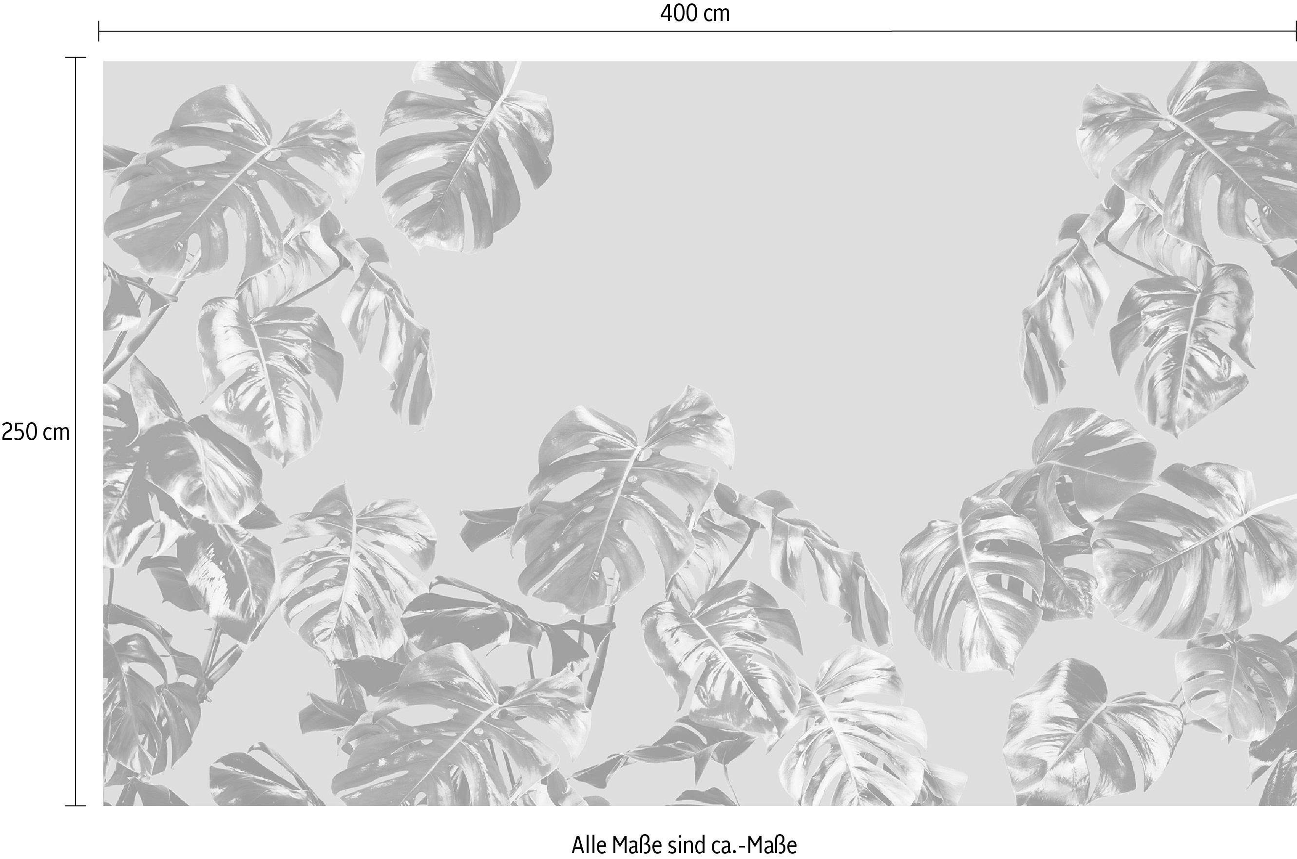 Komar Vliesbehang Digitale print vlies - Monstera Rosé - Afmeting 400 x 250 cm (1 stuk)