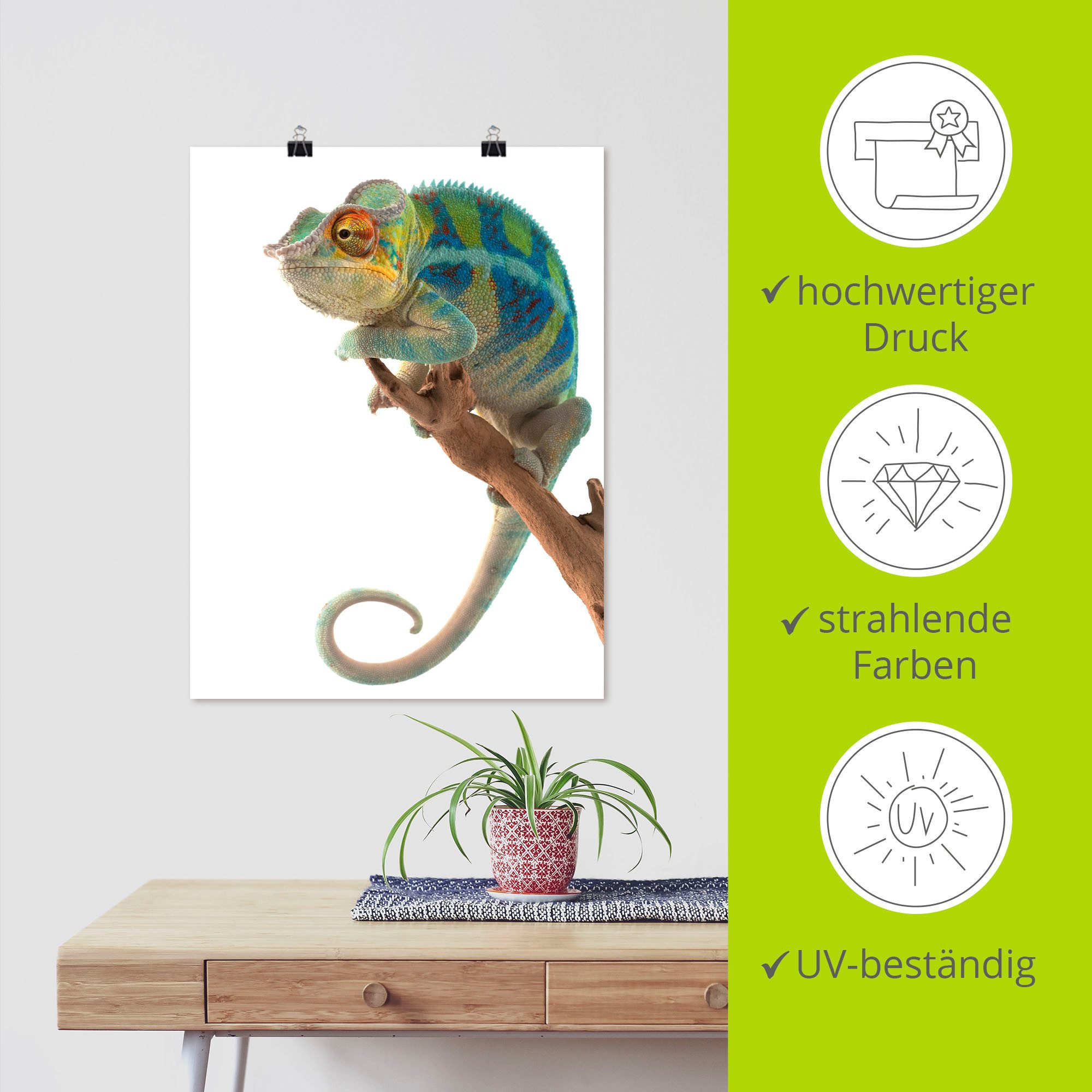 Artland Artprint Ambanja panter kameleon als artprint op linnen, poster in verschillende formaten maten