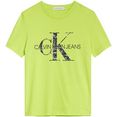 calvin klein t-shirt groen