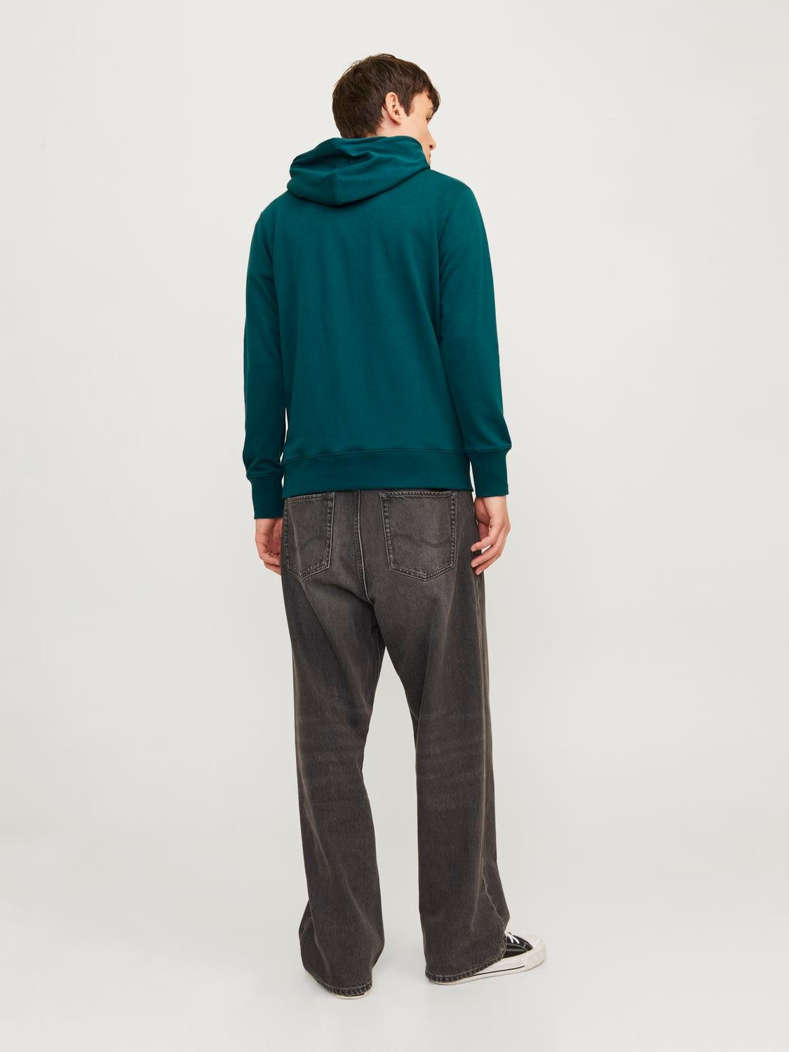 Jack & Jones Hoodie JJEPAULOS SWEAT HOOD NOOS