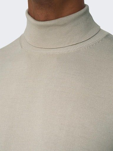 ONLY & SONS Coltrui ONSWYLER LIFE REG ROLL NECK KNIT NOOS