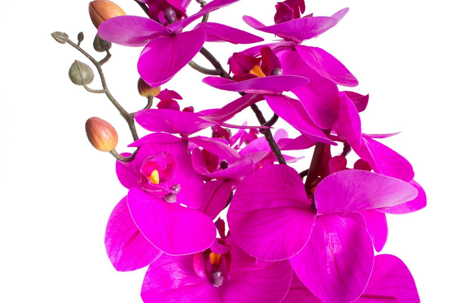 Botanic-Haus Kunstorchidee Orchidee Bora (1 stuk)