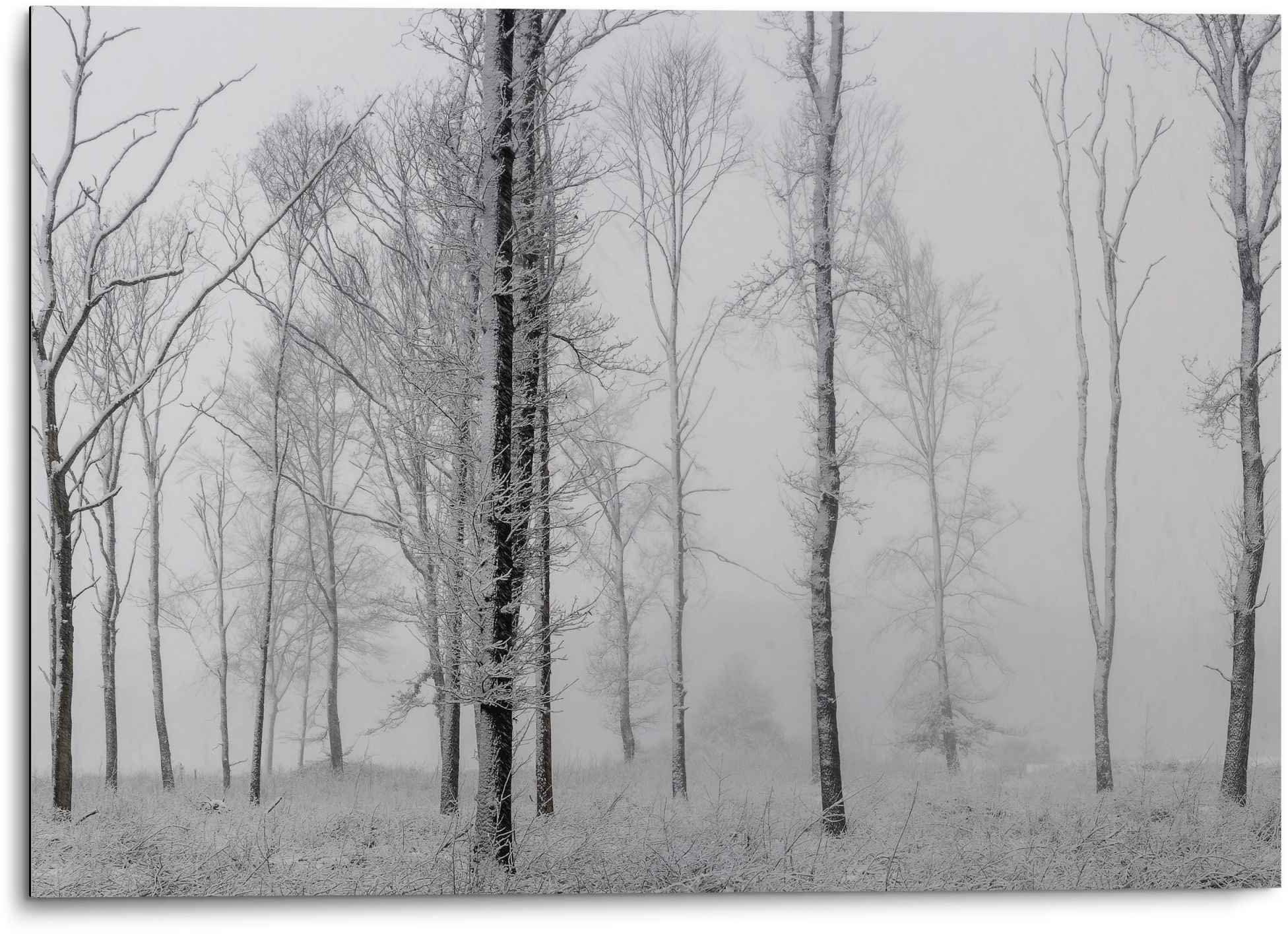 Reinders! Artprint Aluminium artprint stilleven natuur - zwart/wit - bos - bomen (1 stuk)
