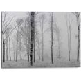 reinders! artprint aluminium artprint stilleven natuur - zwart-wit - bos - bomen (1 stuk) zwart