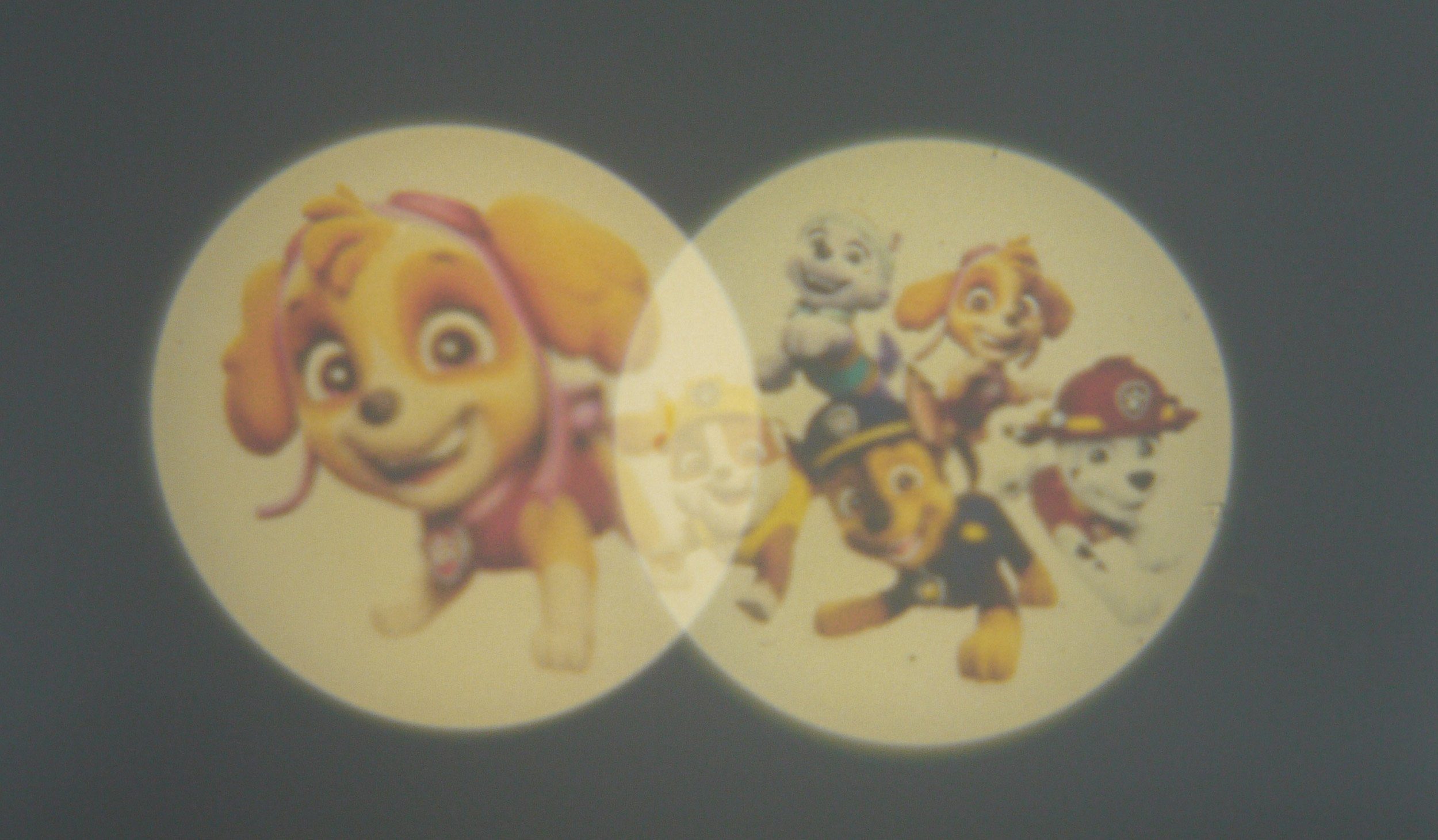 niermann Lednachtlampje Paw Patrol Set Paw Patrol 2 (1 x stekker-nachtlicht, 1 x draagbare beamer) (1 stuk)