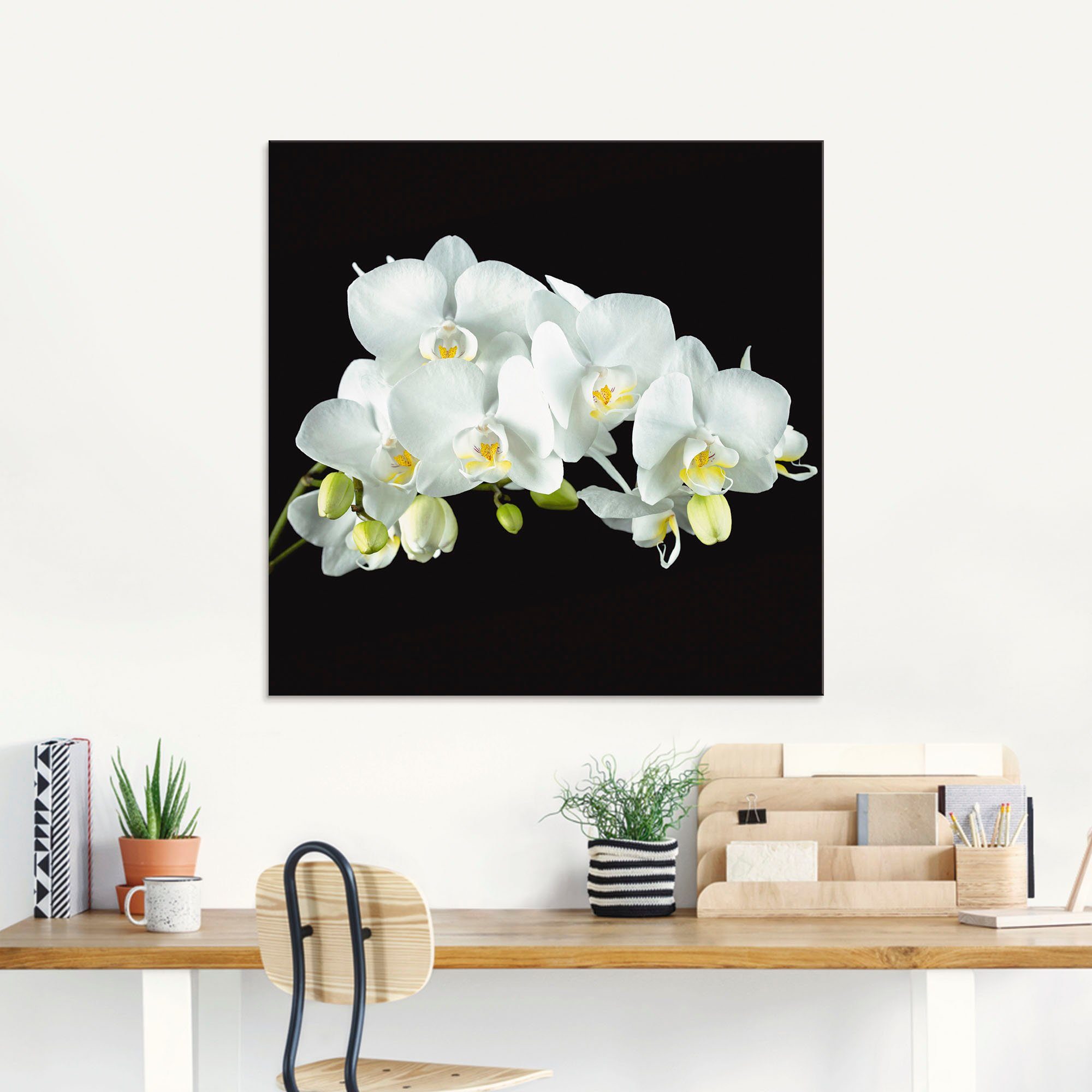 Artland Print op glas Witte orchidee op een zwarte achtergrond