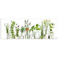 reinders! print op glas artprint op glas kruiden in vazen specerijen - tuin - koken (1 stuk) groen