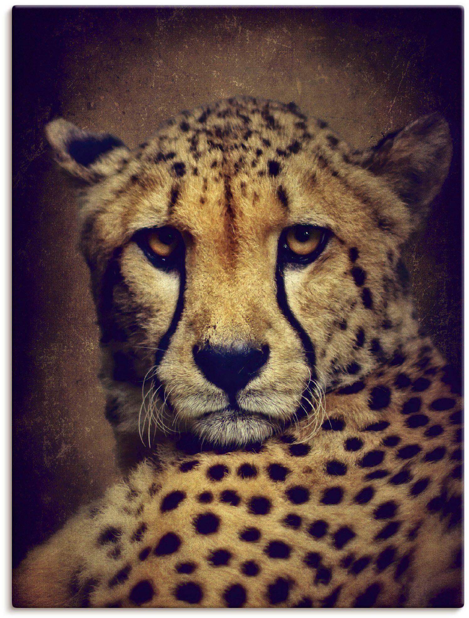 Artland artprint Gepard