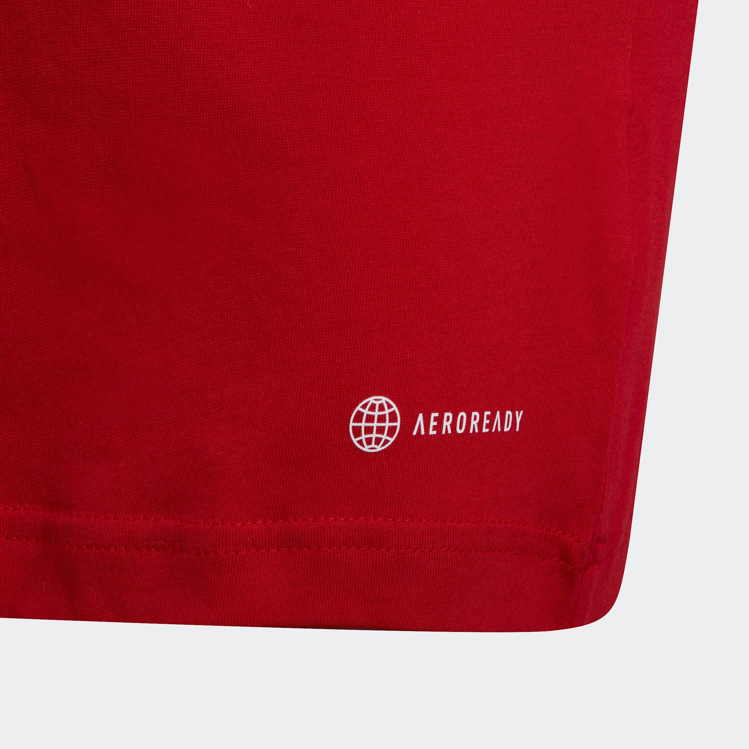 adidas Performance Trainingsshirt ENT22 TEE Y