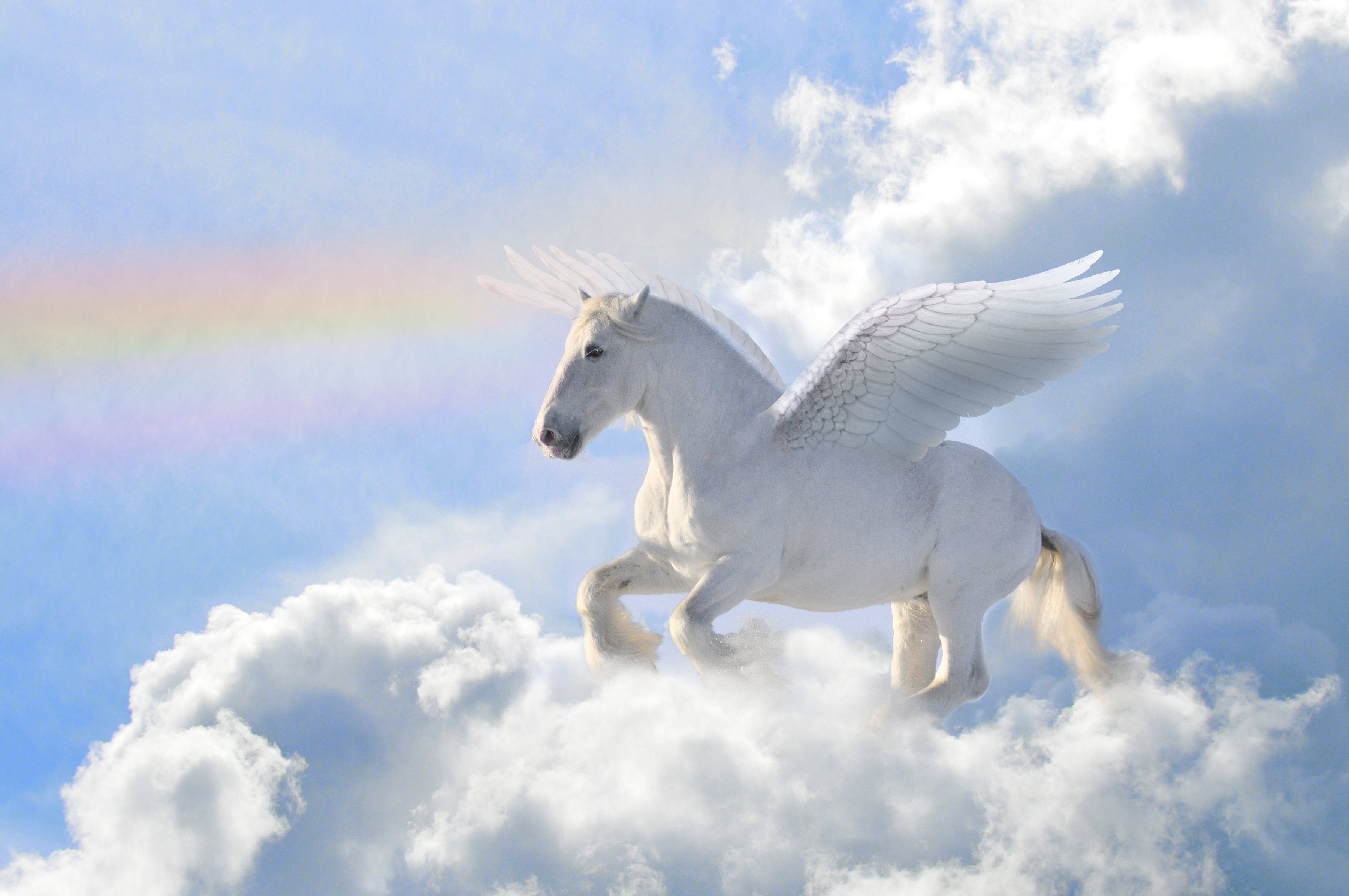 Papermoon Fotobehang Pegasus in the Clouds