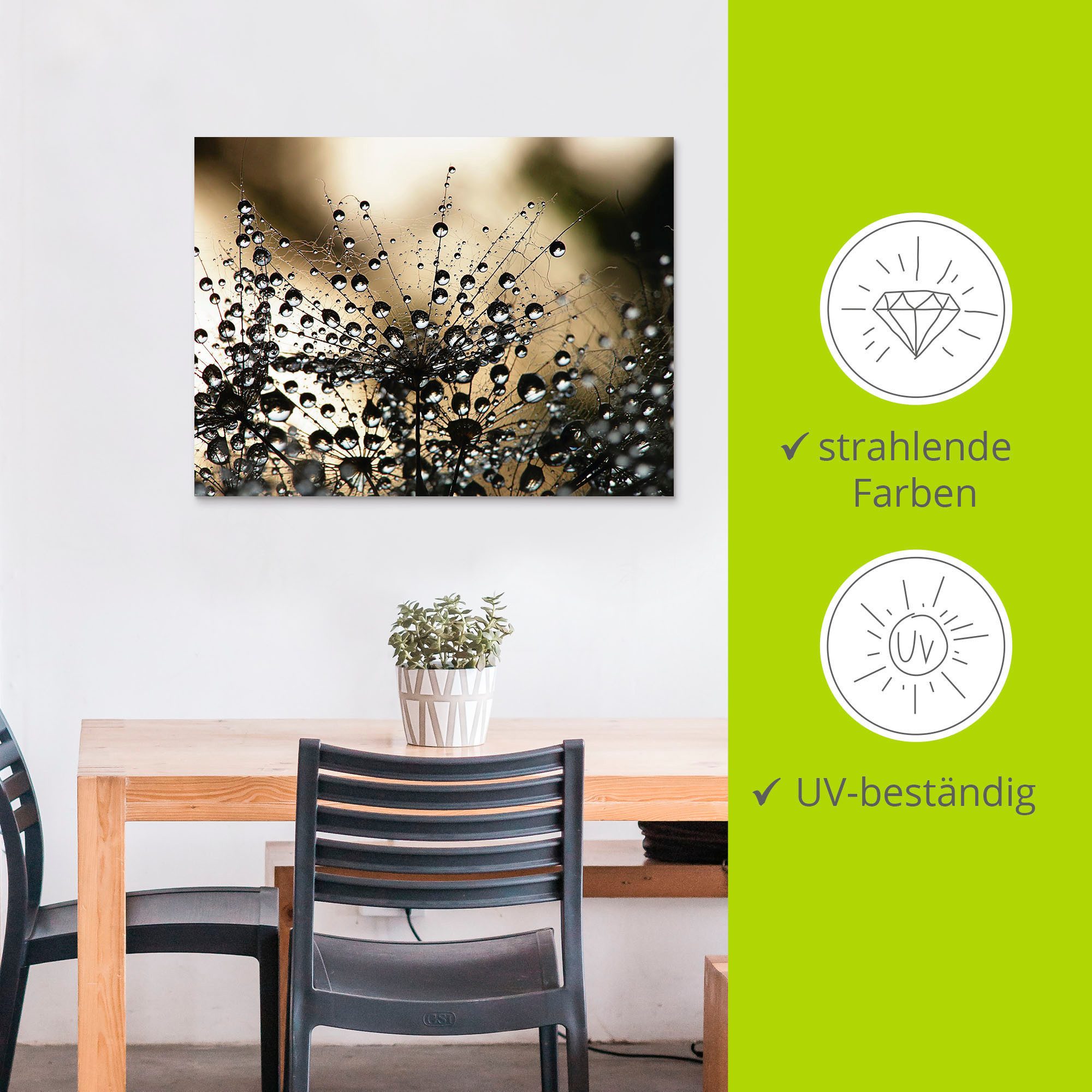 Artland Artprint Natte paardenbloem als artprint van aluminium, artprint voor buiten, artprint op linnen, poster, muursticker