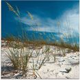 artland print op glas zandduinen en grassen (1 stuk) blauw