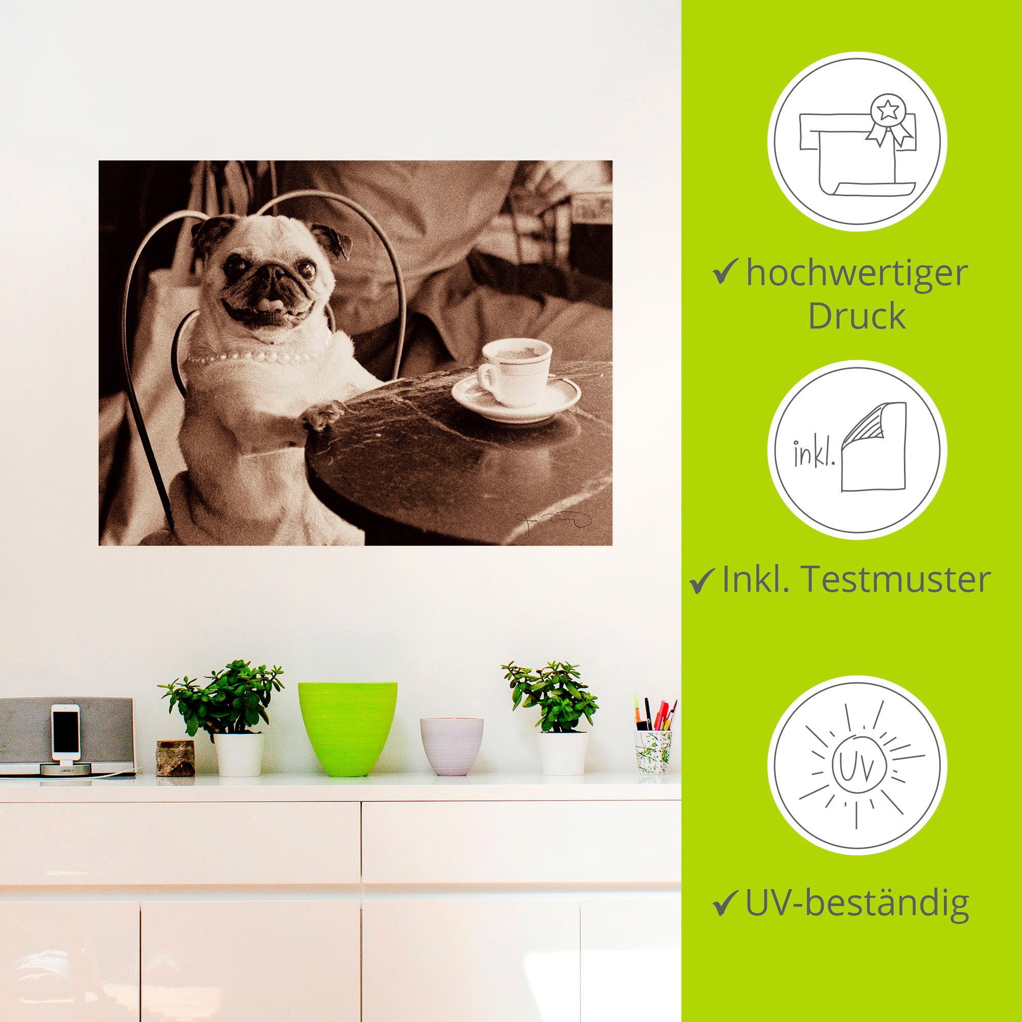 Artland Artprint Koffie mopshond als artprint op linnen, poster, muursticker in verschillende maten
