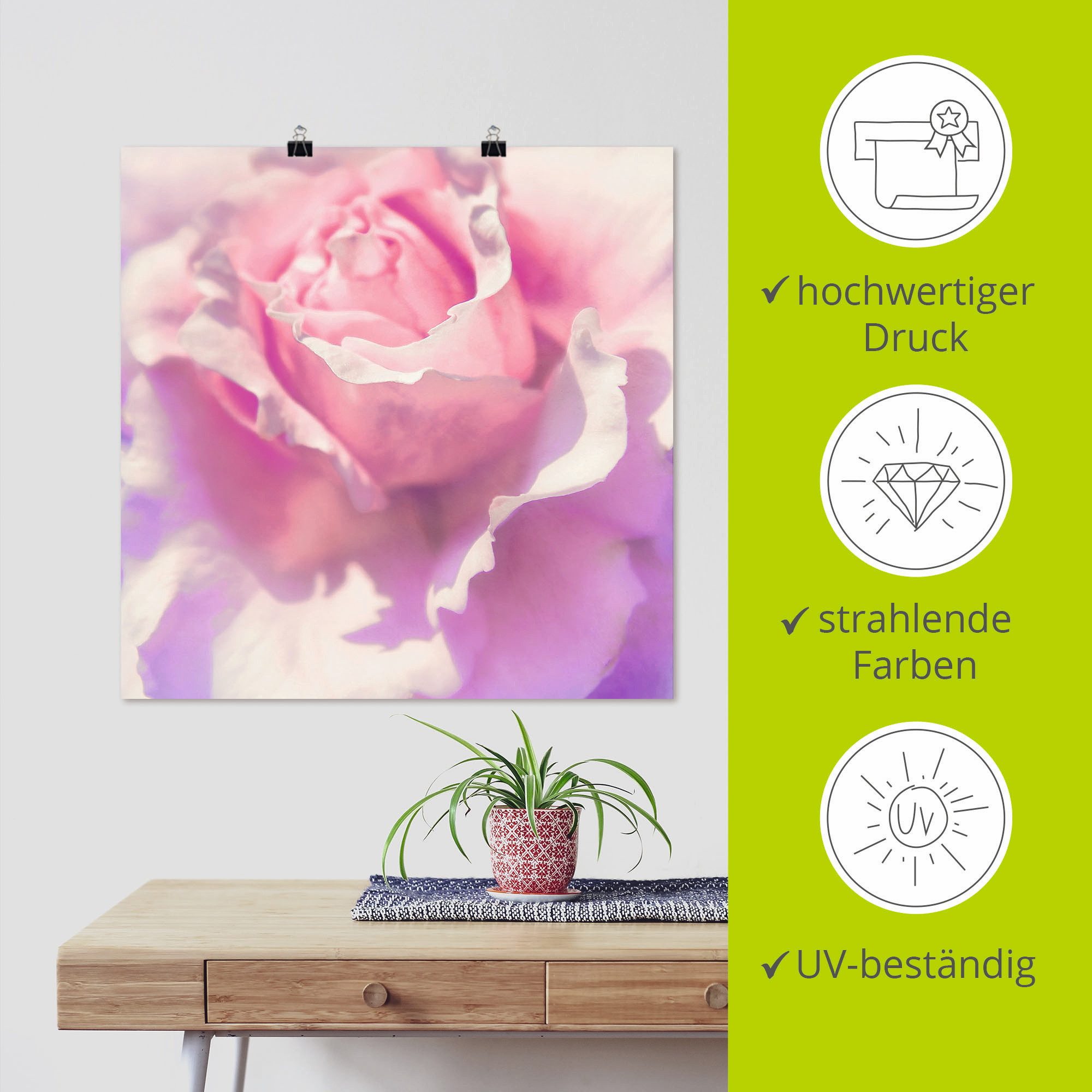 Artland Artprint Roze als artprint op linnen, poster, muursticker in verschillende maten
