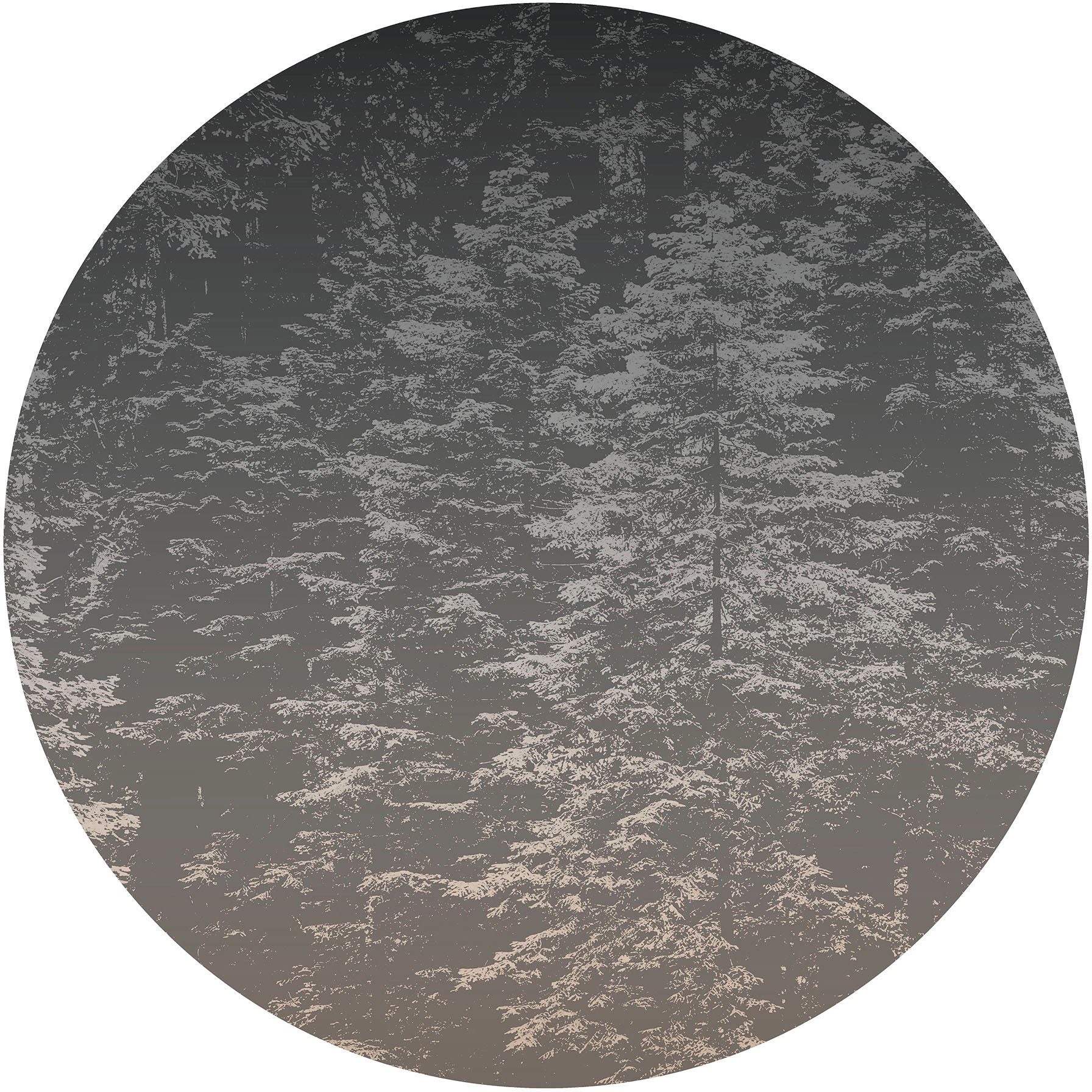 Fashion for walls Fotobehang Hazy Pines Ftalaten vrij
