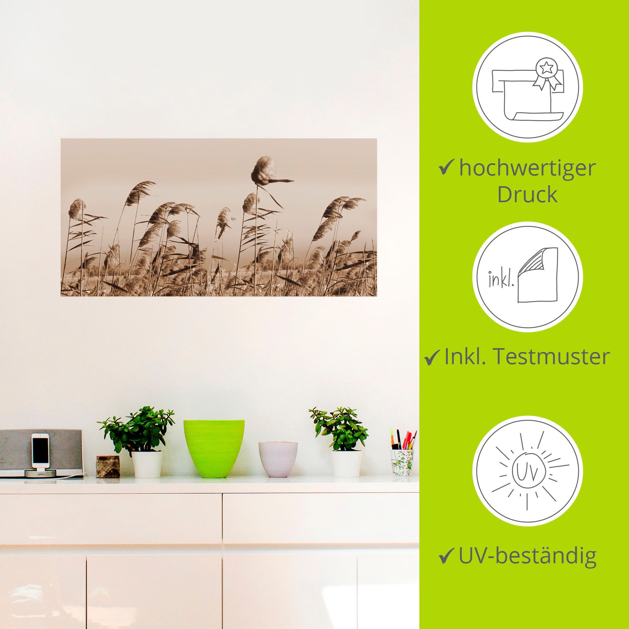Artland Artprint Grassen als artprint van aluminium, artprint voor buiten, artprint op linnen, poster, muursticker