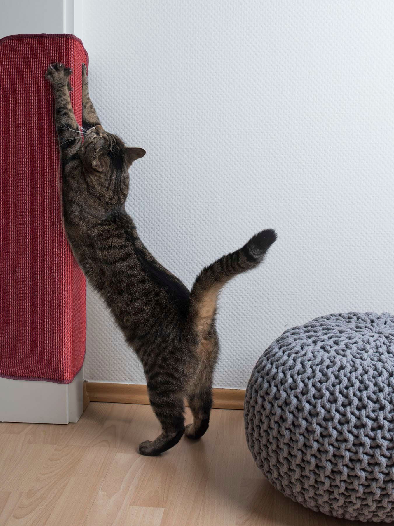 Primaflor-Ideen in Textil Krabplank Kattenkrabmat SISALLUX, gemaakt in Nederland Krabtapijt, sisal, in verschillende afmetingen, veelzijdig te
