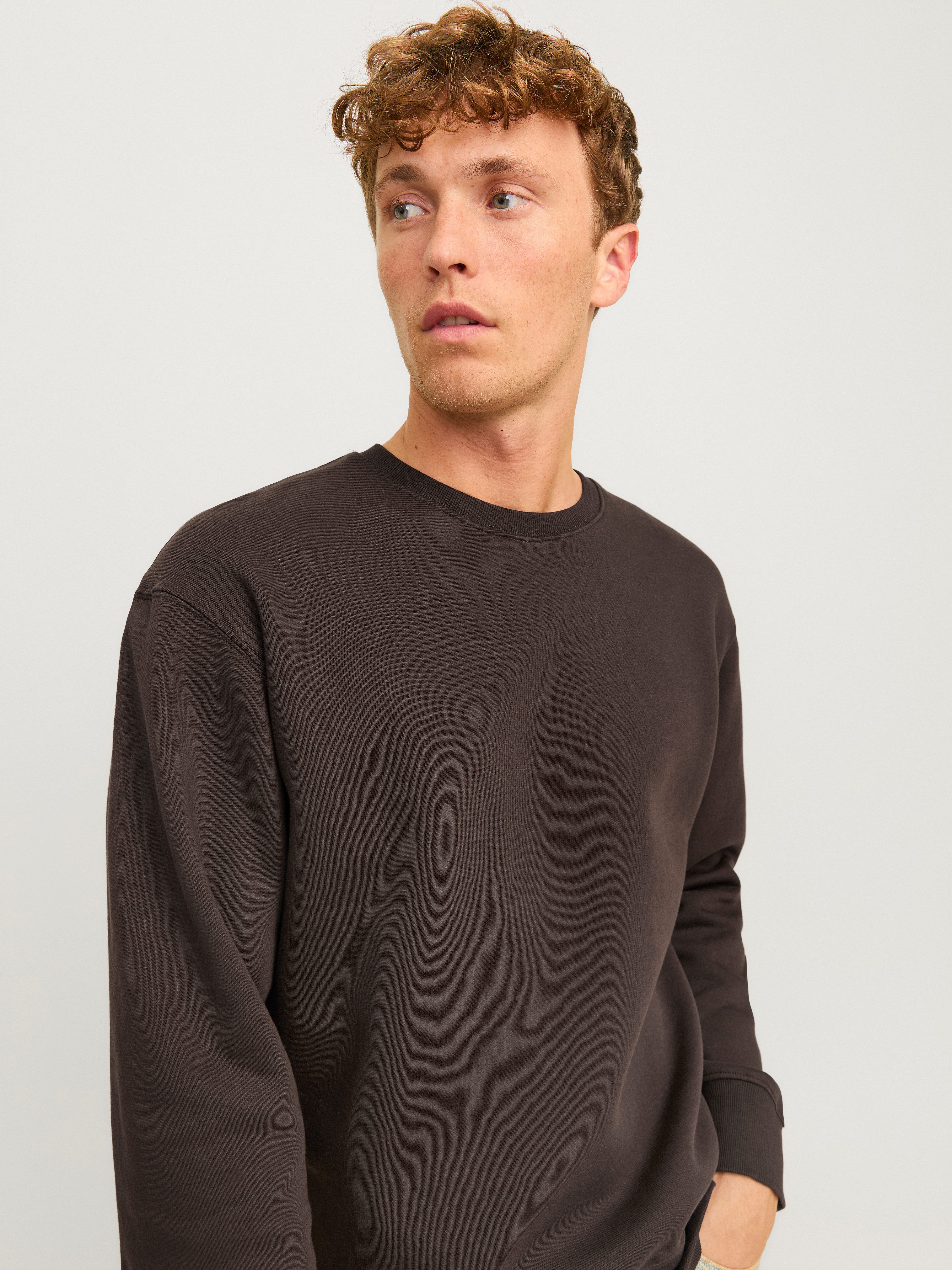 Jack & Jones Sweatshirt JJESTAR BASIC SWEAT CREW NECK NOOS