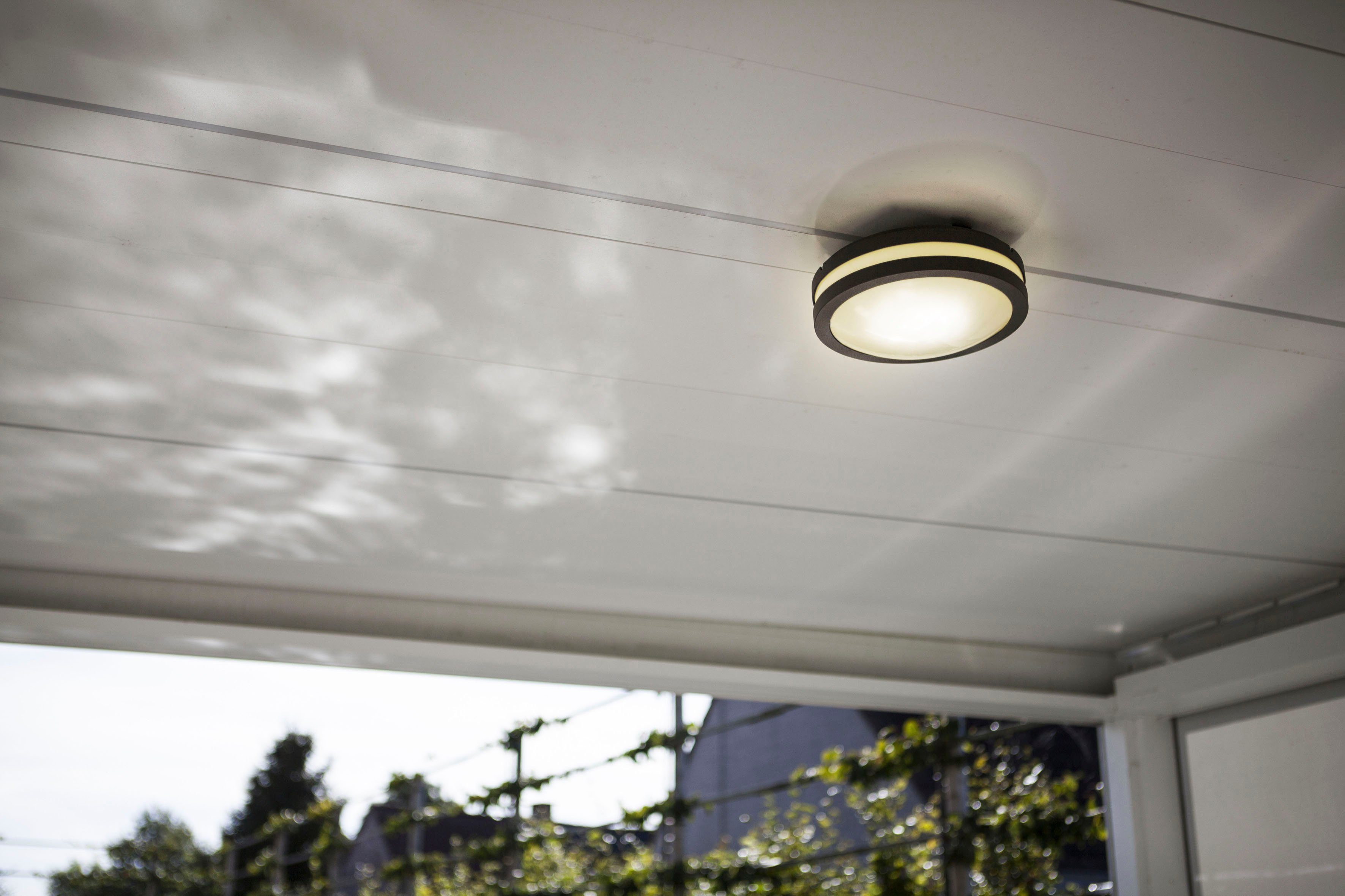 LUTEC Ledwandlamp voor buiten ROLA (1 stuk)