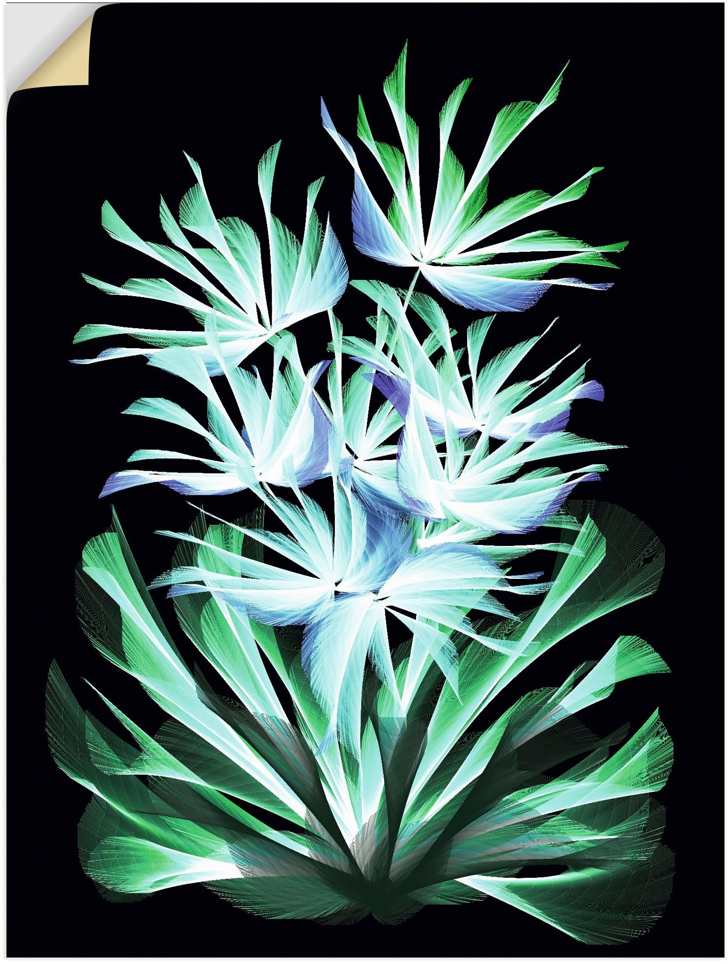 Artland Artprint Leuchtende Nachtblumen in vele afmetingen & productsoorten - artprint van aluminium / artprint voor buiten, artprint op linnen, poster, muursticker / wandfolie ook