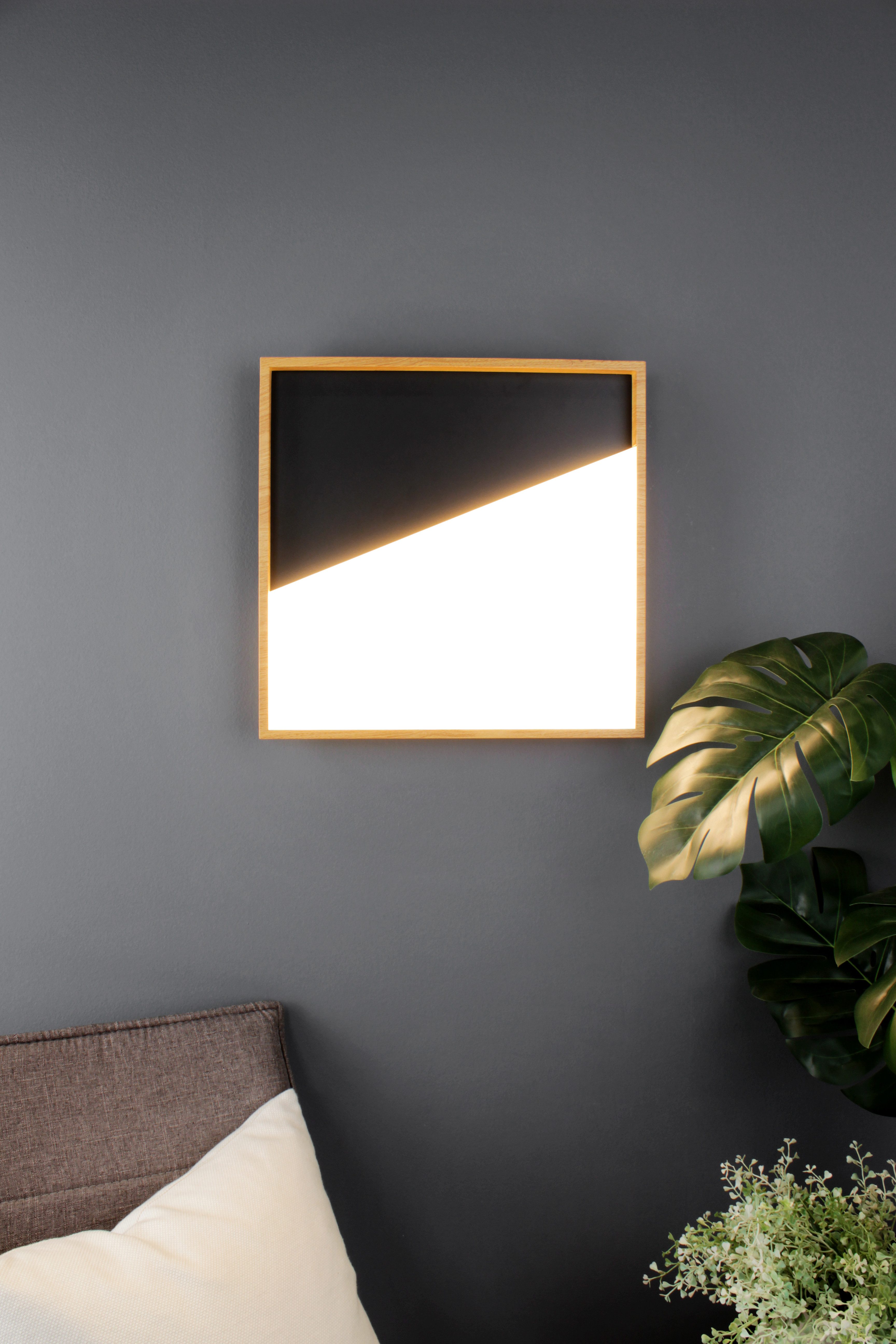 ECO-LIGHT Led-plafondlamp VISTA,30x30