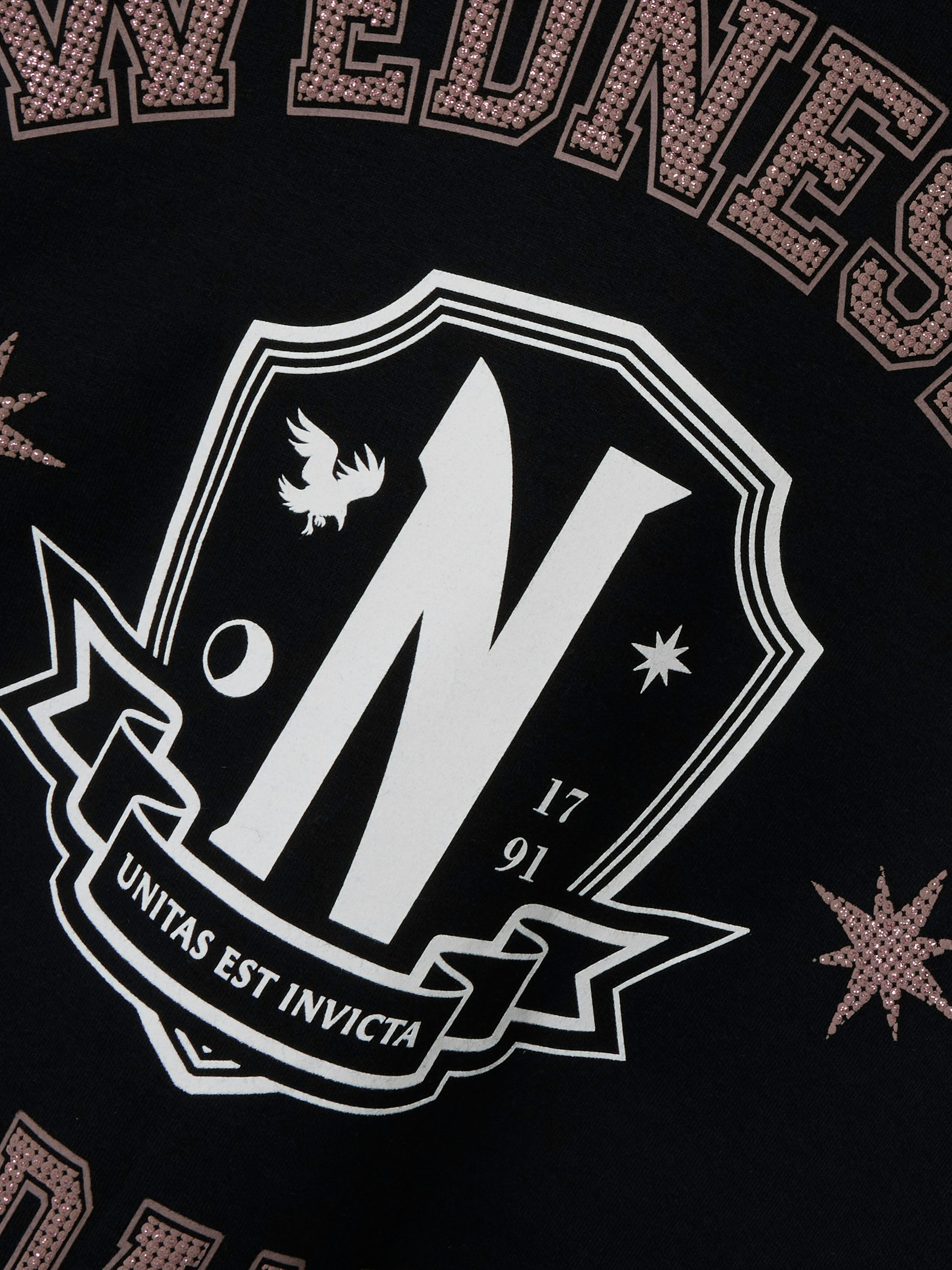 Name It Sweatshirt NKFJIXINNI WED RLX SWEAT WH BRU NOOS SKY