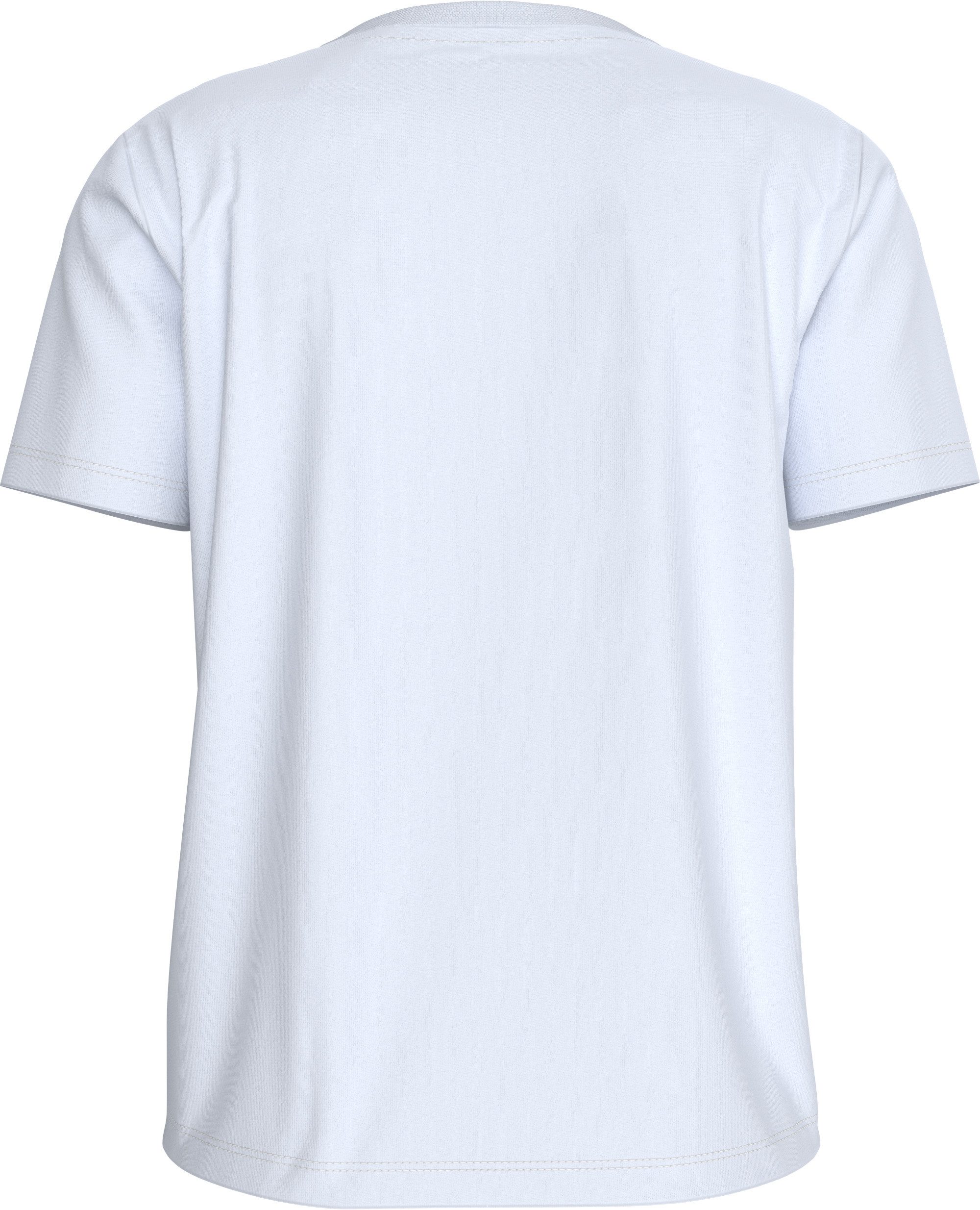 Calvin Klein T-shirt A- Logo CN 2 Pack Tee (Set van 2)