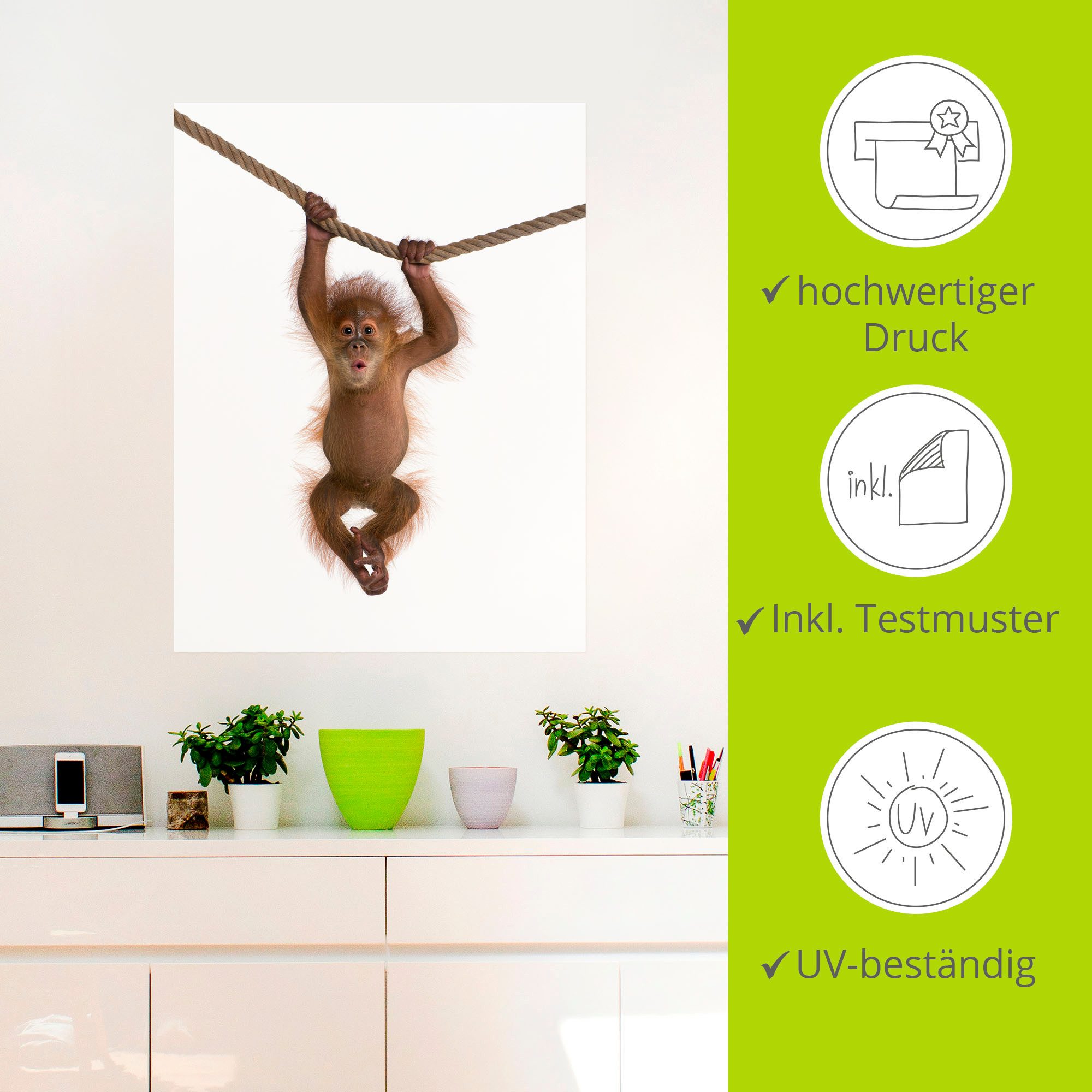 Artland Artprint Baby orang oetan hangt aan het touw II als artprint van aluminium, artprint voor buiten, artprint op linnen, poster, muursticker