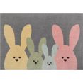 hanse home mat bunny family geschikt voor binnen en buiten, wasbaar, hazen, diermotief, robuust, gemakkelijk in onderhoud, ingang, antislip multicolor