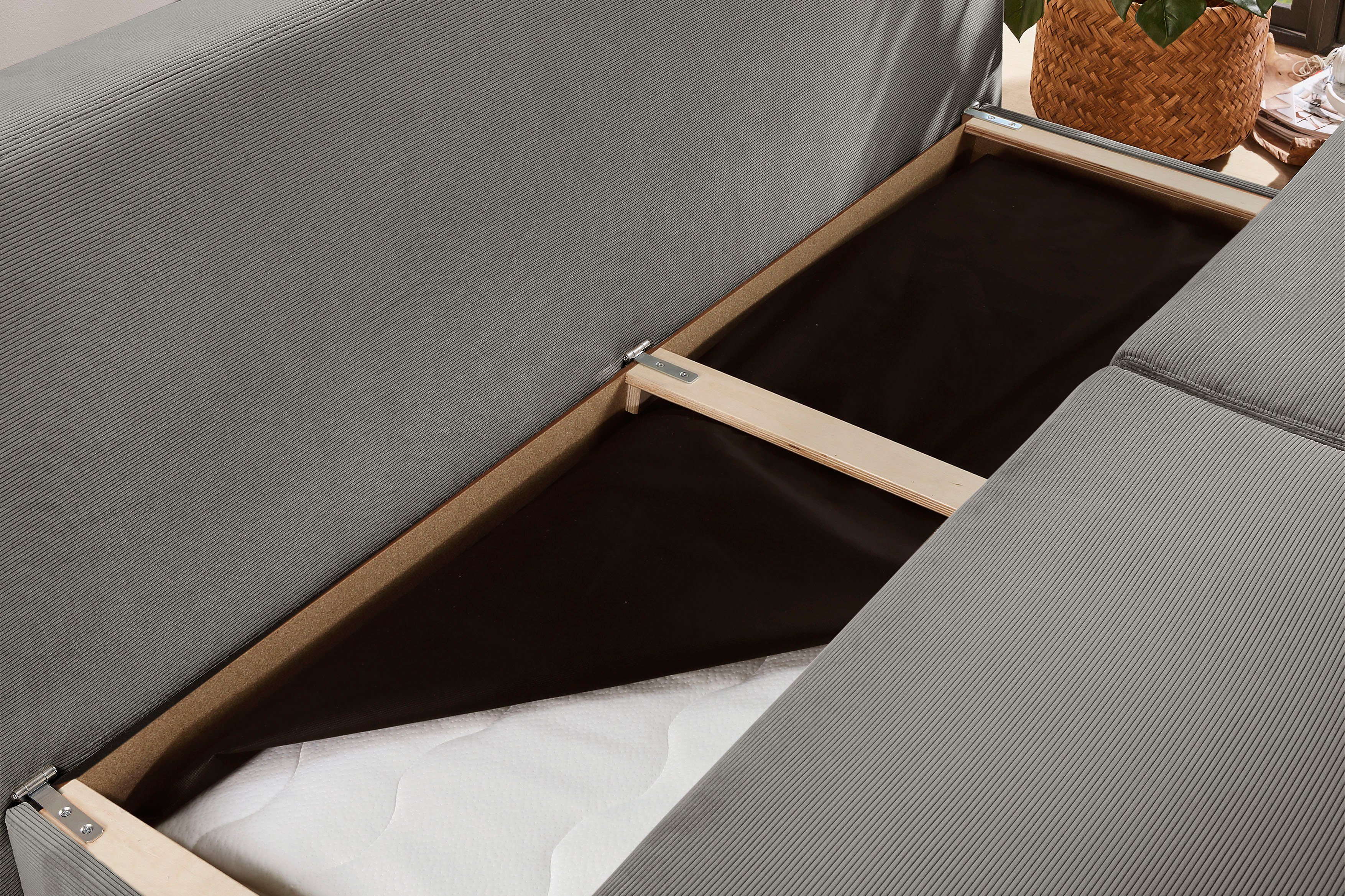 Jockenhöfer Gruppe Slaapbank Derby Volwaardig bed, topmatras, pocketvering zitting en rug