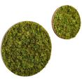 schneider sierobject voor aan de wand rond, mos-look (set, 2 stuks) groen