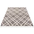carpet city hoogpolig vloerkleed pulpy 540 bijzonder zacht, met franje, ruiten-look, ideaal voor woonkamer  slaapkamer grijs