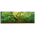 reinders! artprint op hout deco-block 40x118 old oak groen