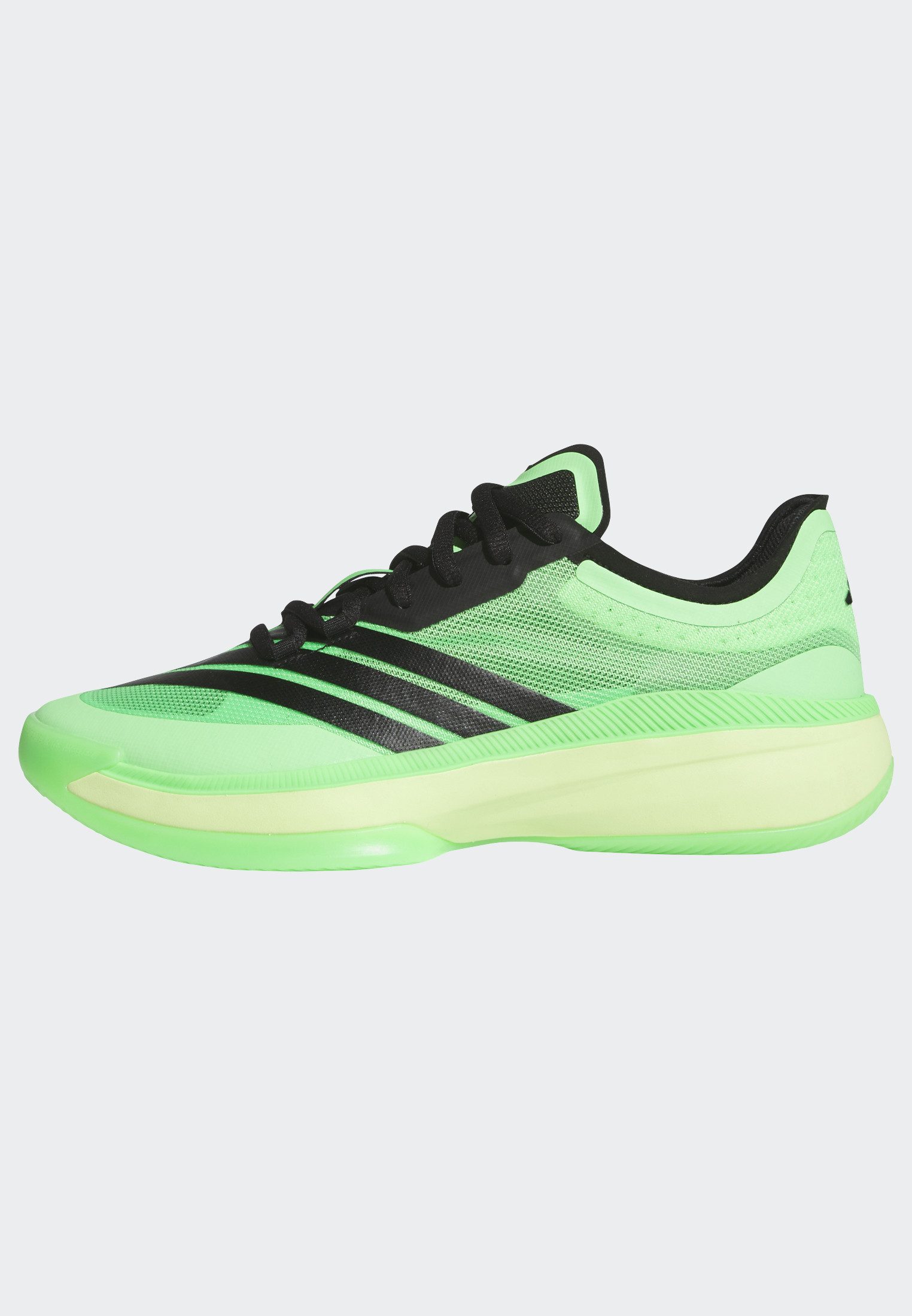 adidas Performance Basketbalschoenen ADIZERO SELECT 3.0