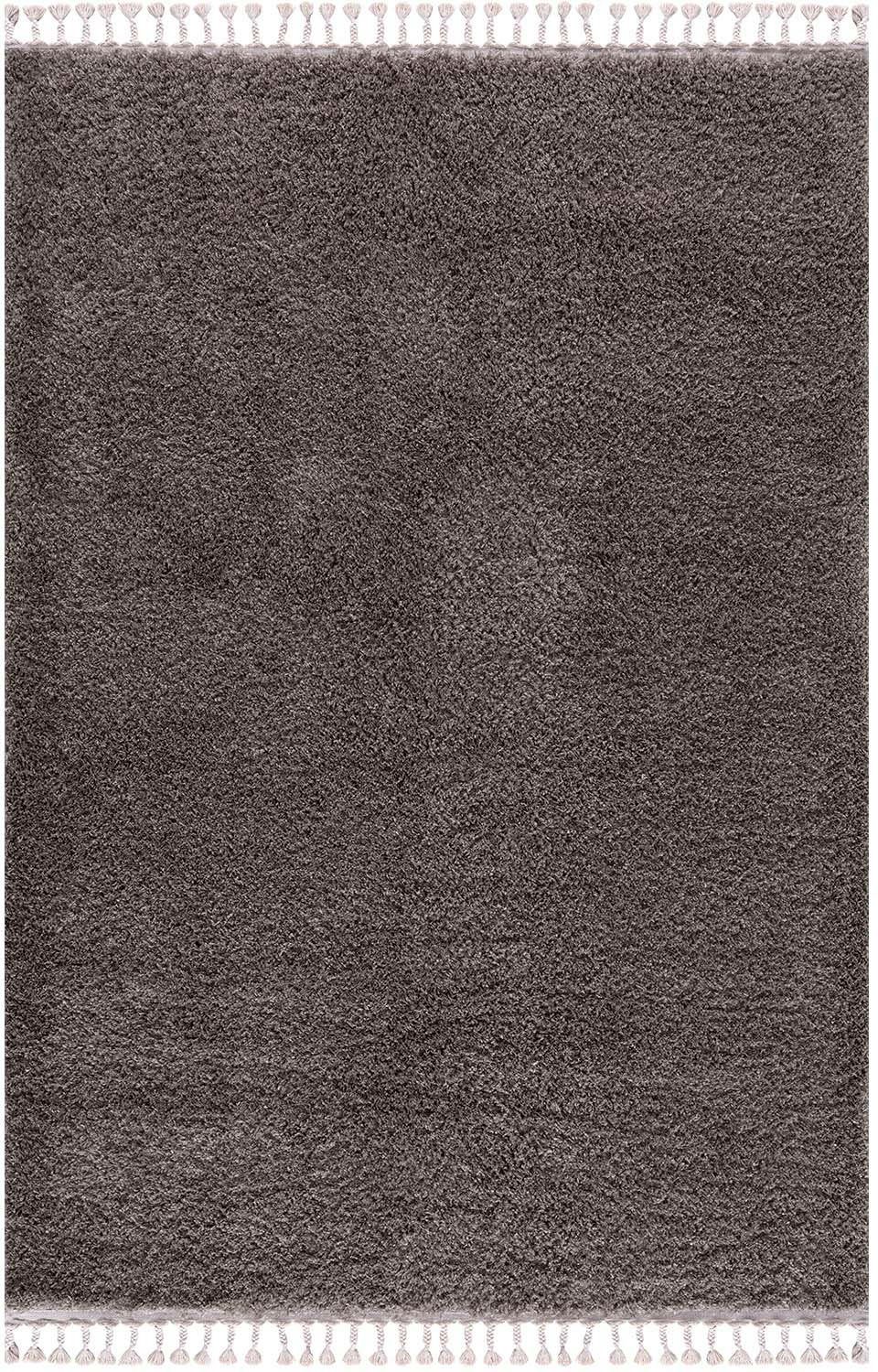Carpet City Hoogpolig vloerkleed Pulpy 100