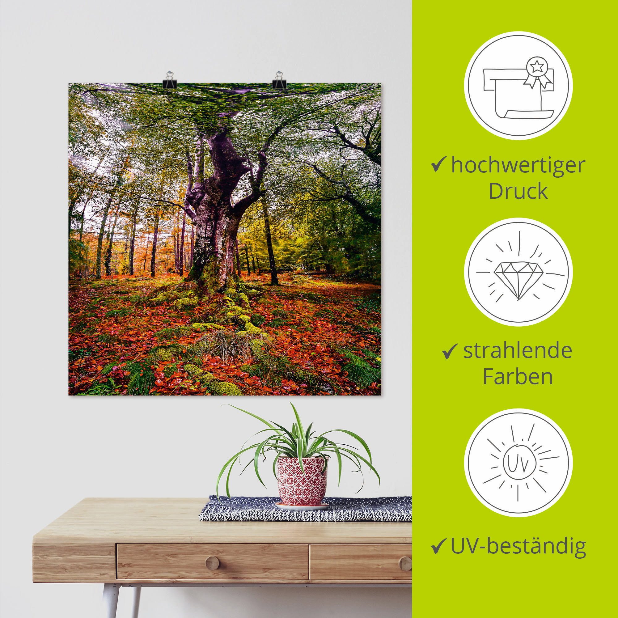 Artland Artprint Boom in het bos als artprint op linnen, poster in verschillende formaten maten
