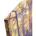 spiegelprofi gmbh artprint op linnen autumn forest exclusieve artprint, gedessineerde randen (1 stuk) multicolor