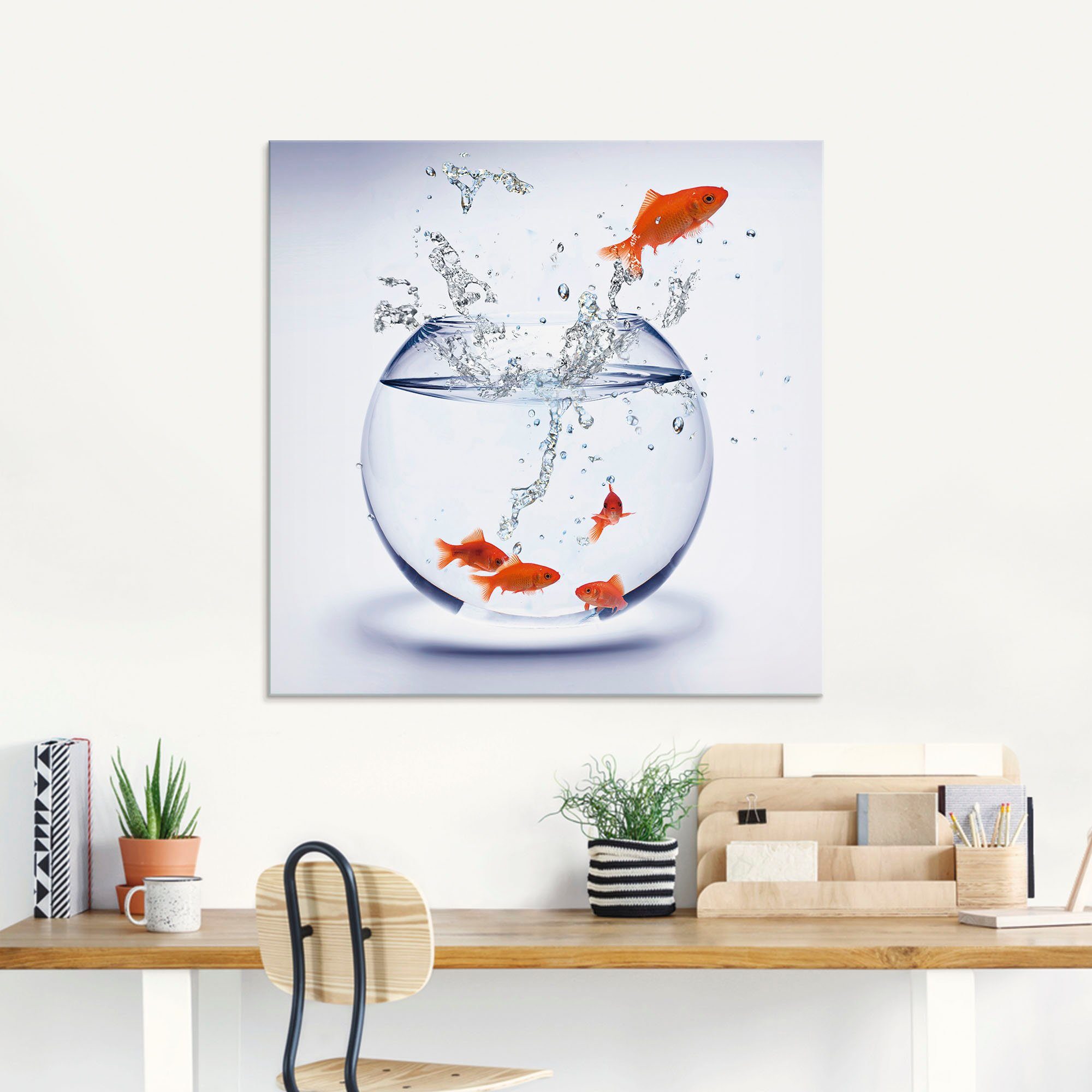 Artland Print op glas Goudvisaquarium in verschillende maten