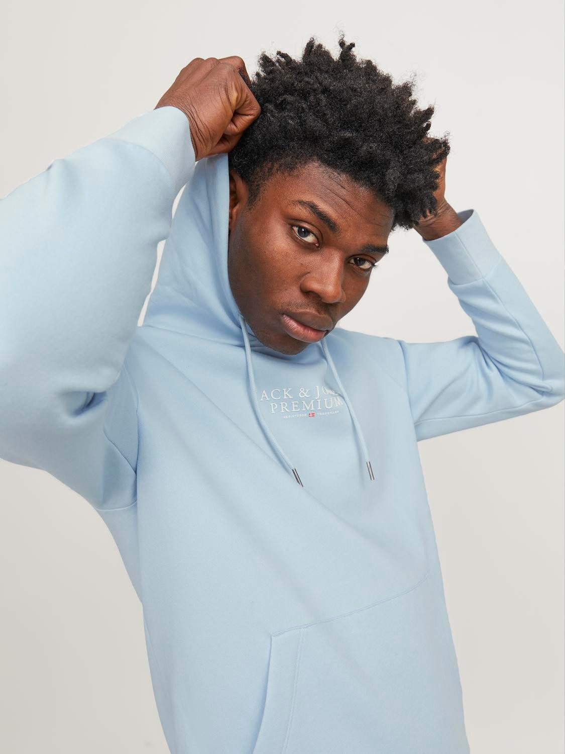 Jack & Jones Hoodie JPRBLUARCHIE SWEAT HOOD NOOS
