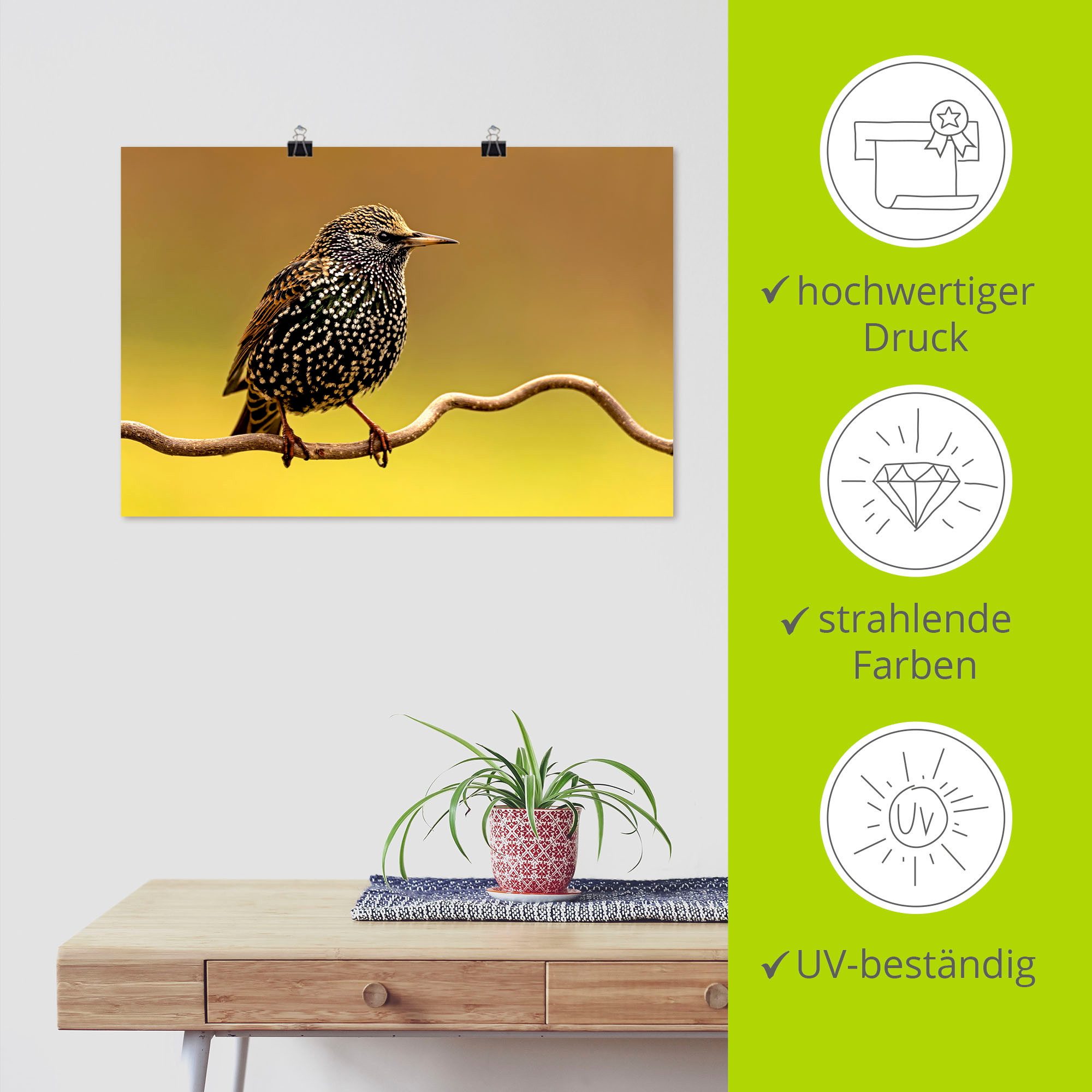 Artland Artprint Star als artprint op linnen, poster in verschillende formaten maten