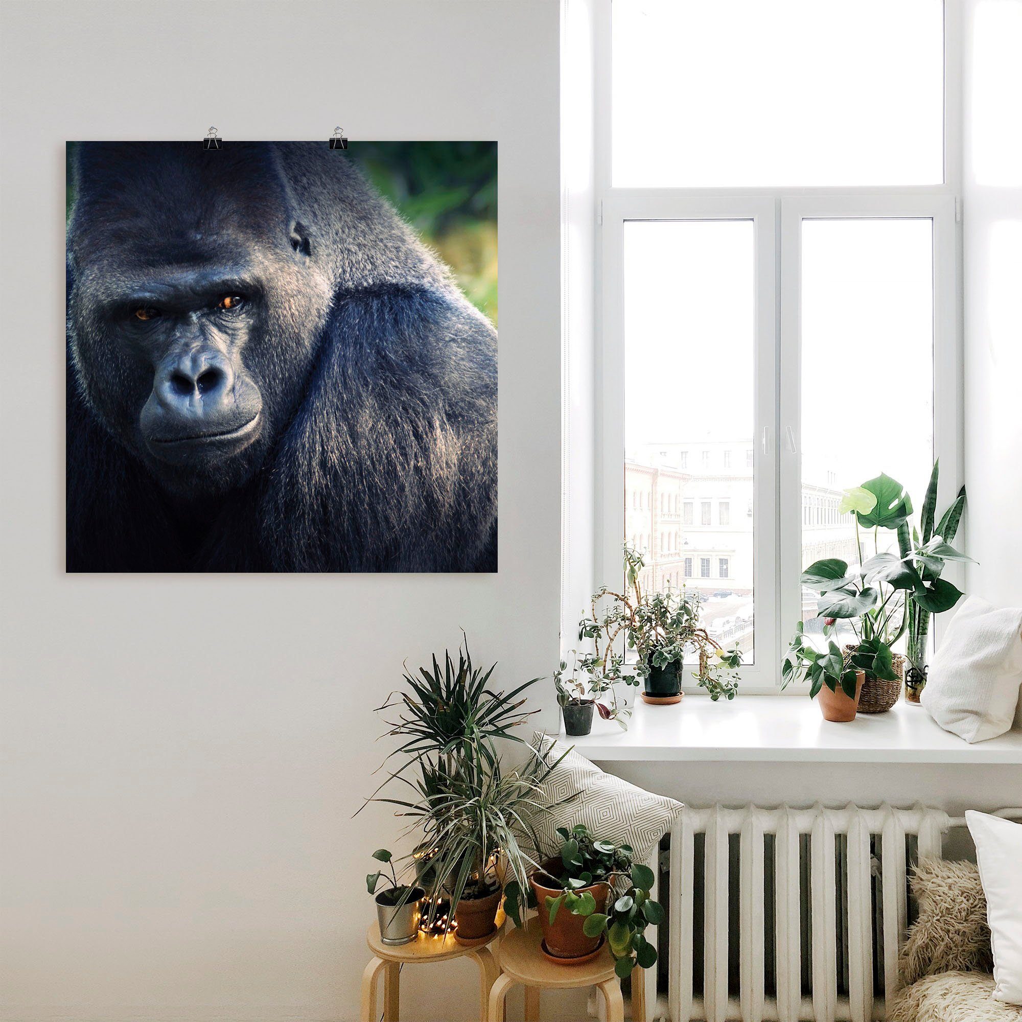 Artland Poster Gorilla als artprint op linnen, muursticker of poster in verschillende maten