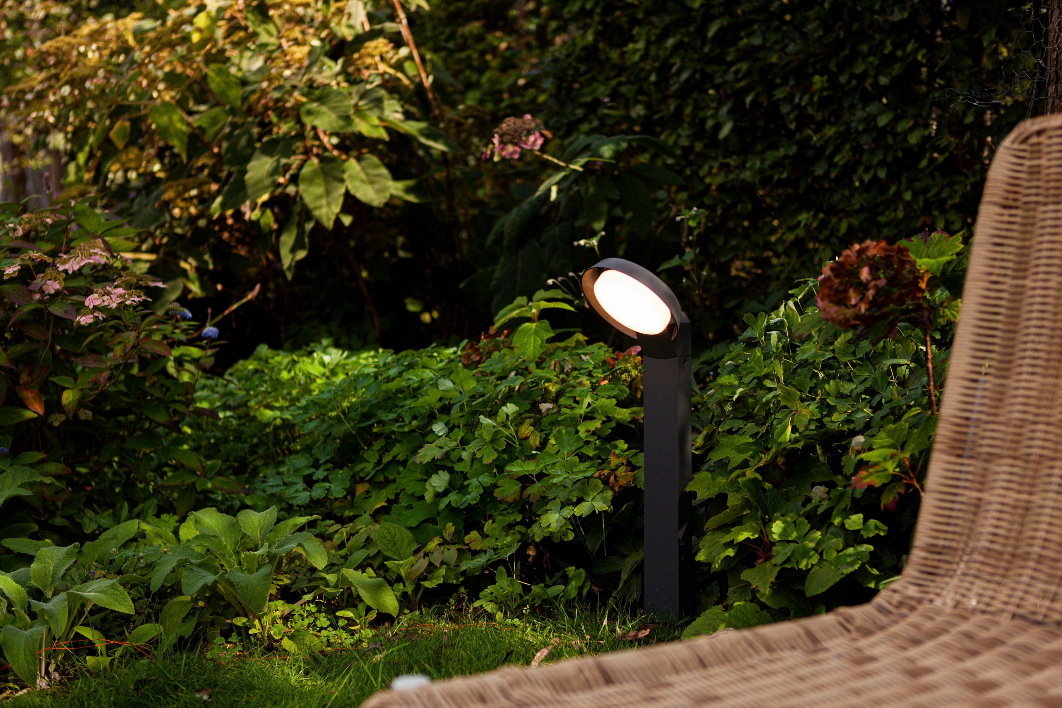 LUTEC Ledwandlamp voor buiten Polo (1 stuk)