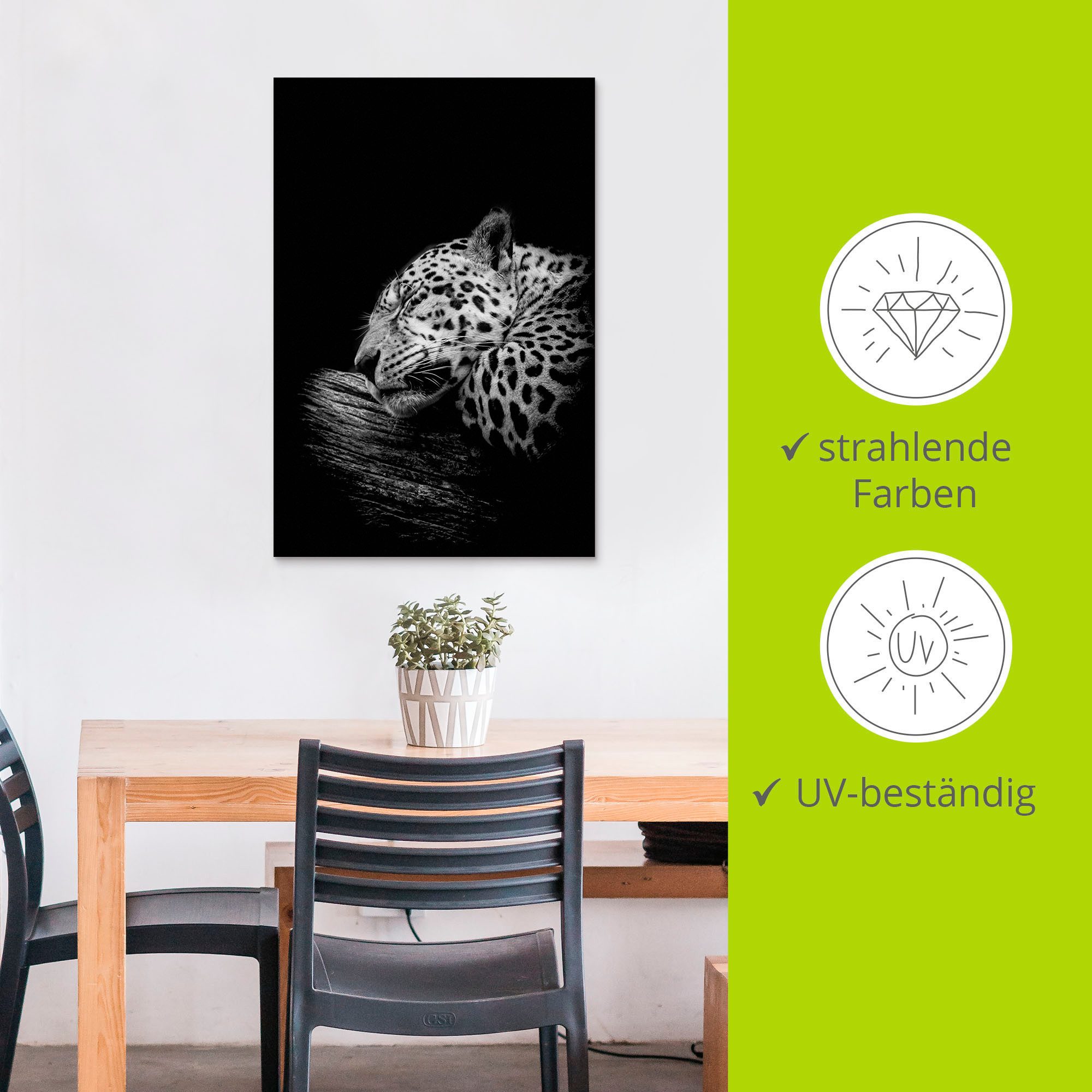 Artland Artprint De slapende jaguar als artprint van aluminium, artprint voor buiten, artprint op linnen, poster in verschillende maten. maten