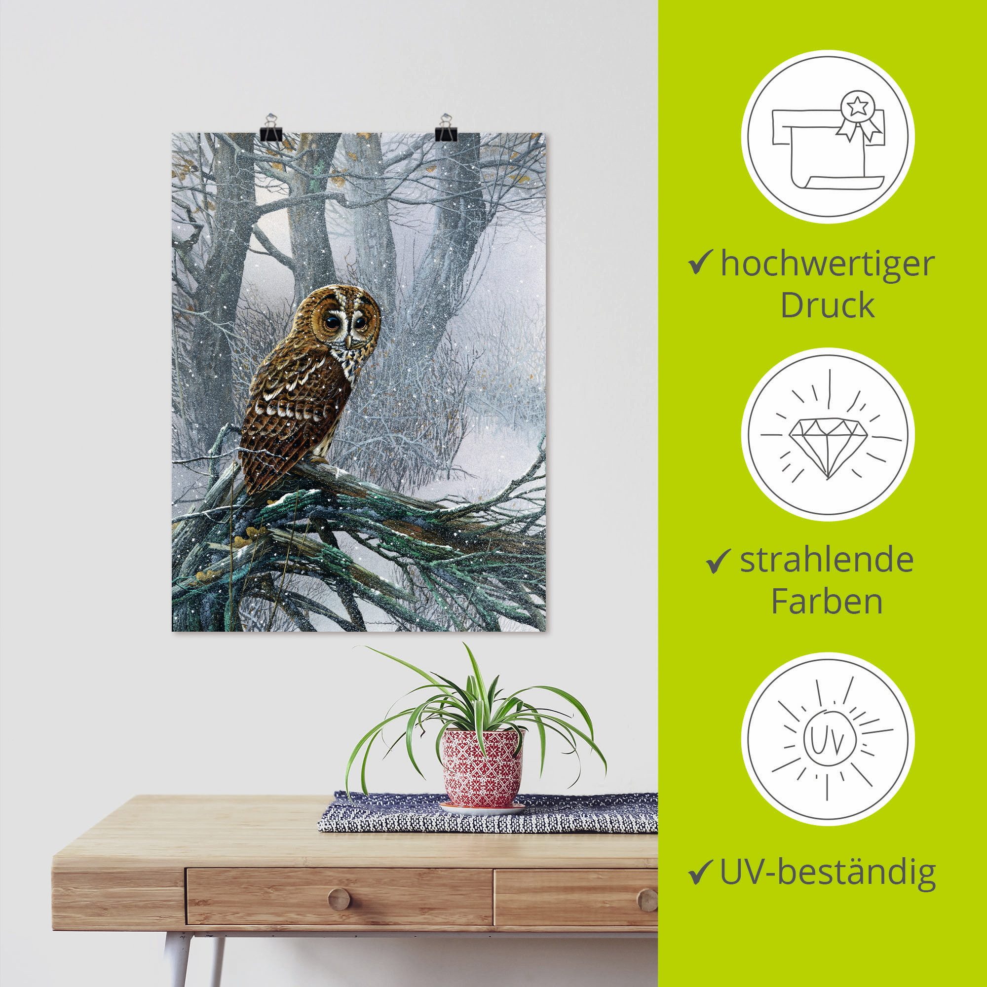 Artland Artprint Uil in ondergesneeuwd bos als artprint op linnen, poster in verschillende formaten maten