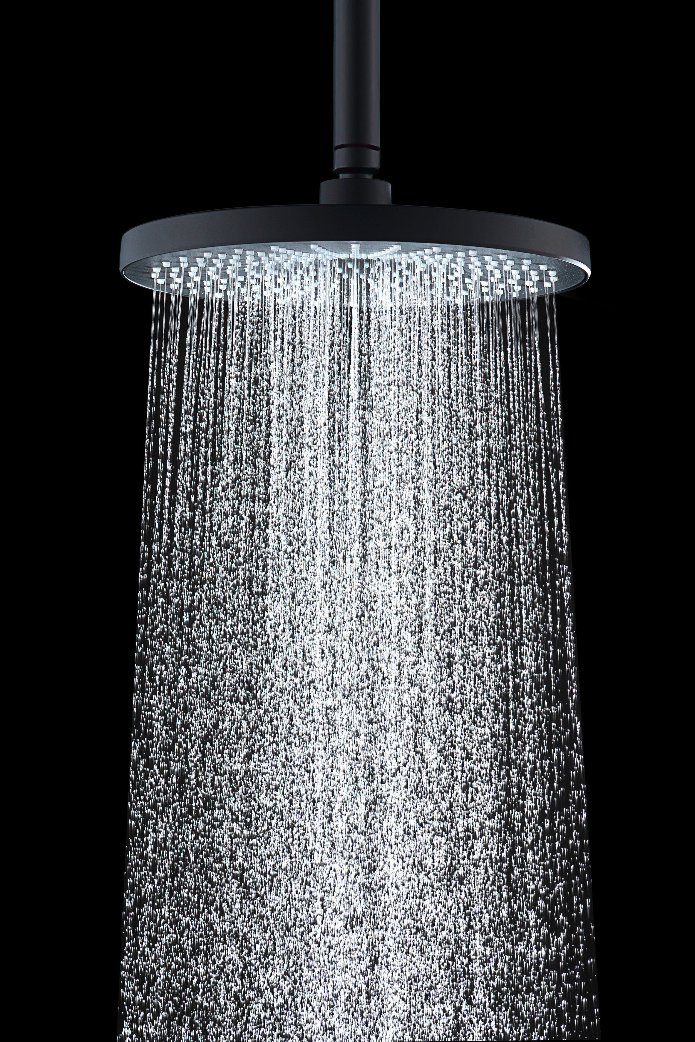 WENKO Regendouchekop Ultimate Shower Zwart/grijs, Ø 25 cm (1-delig)