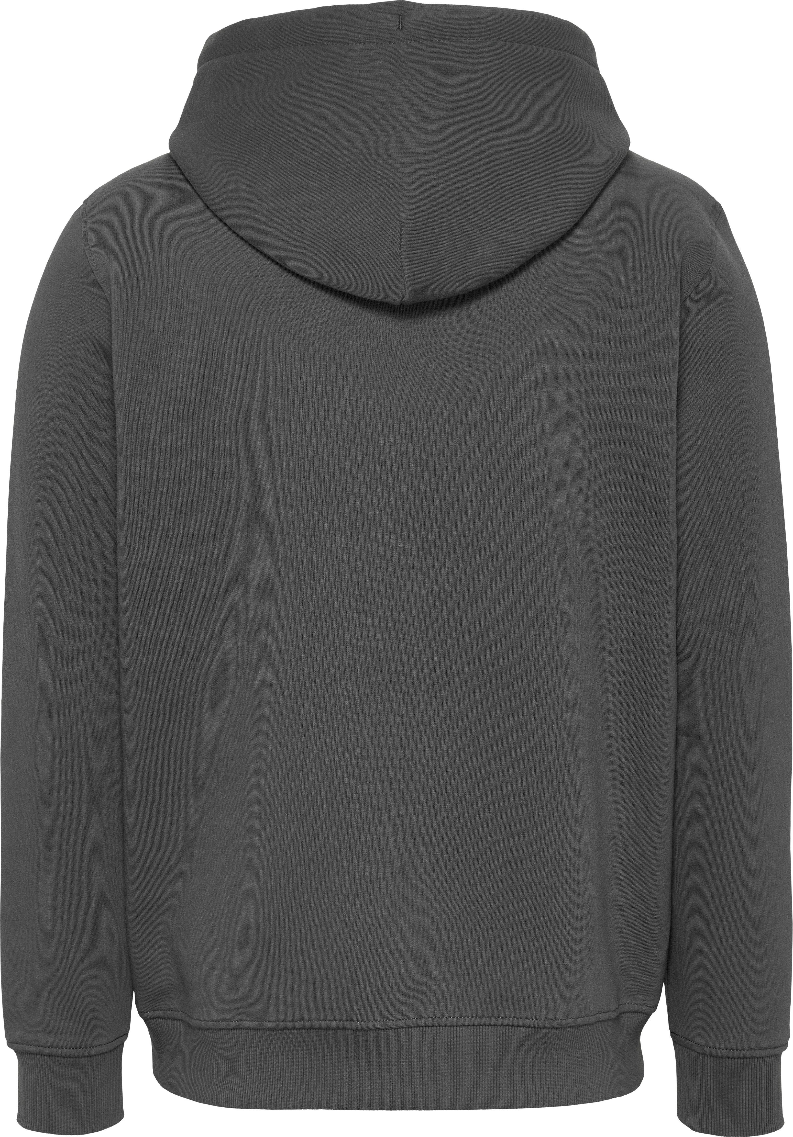TOMMY JEANS Hoodie TJM REG LINEAR LOGO HOODIE EXT