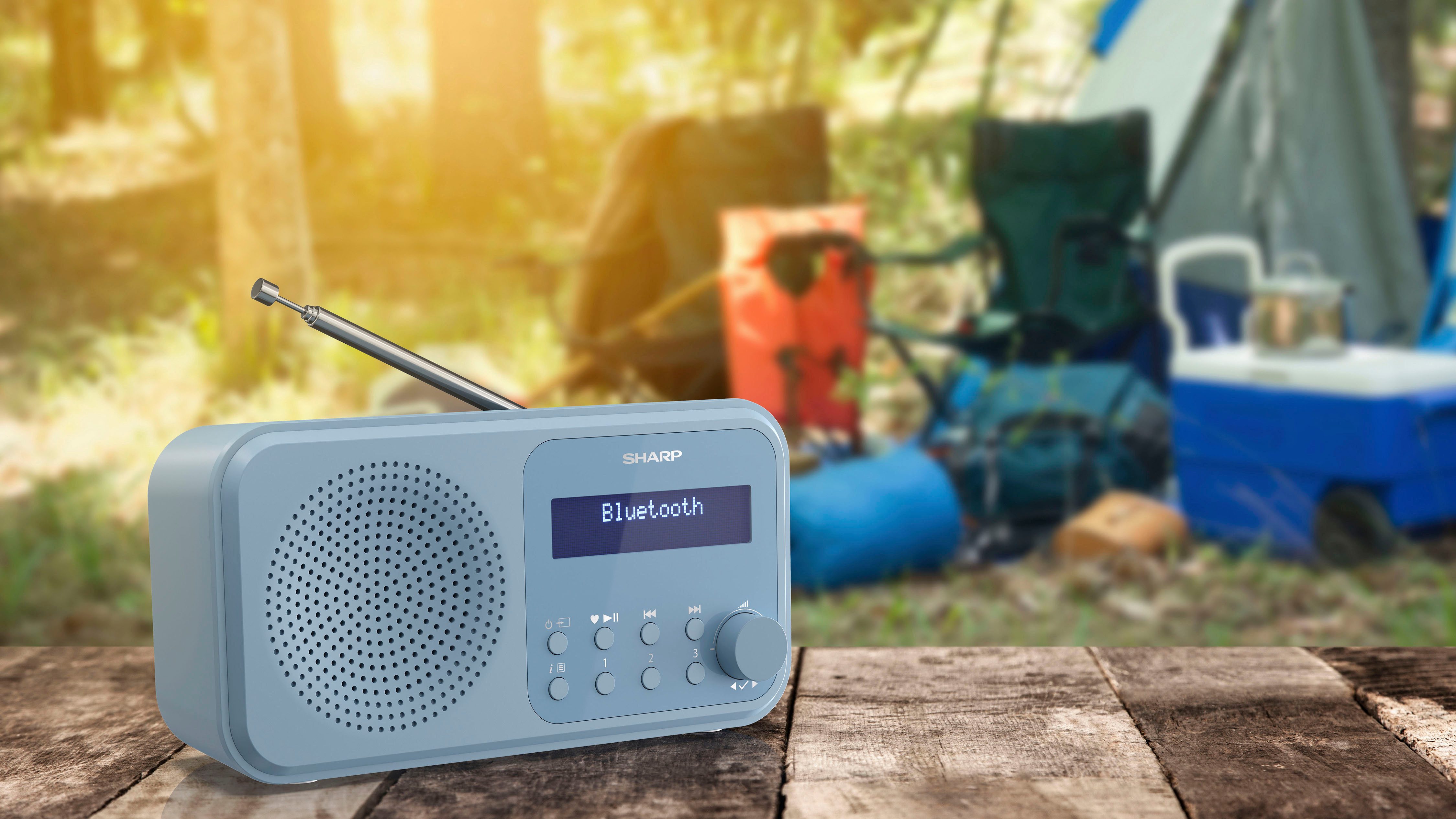 Sharp Radio DR-P420