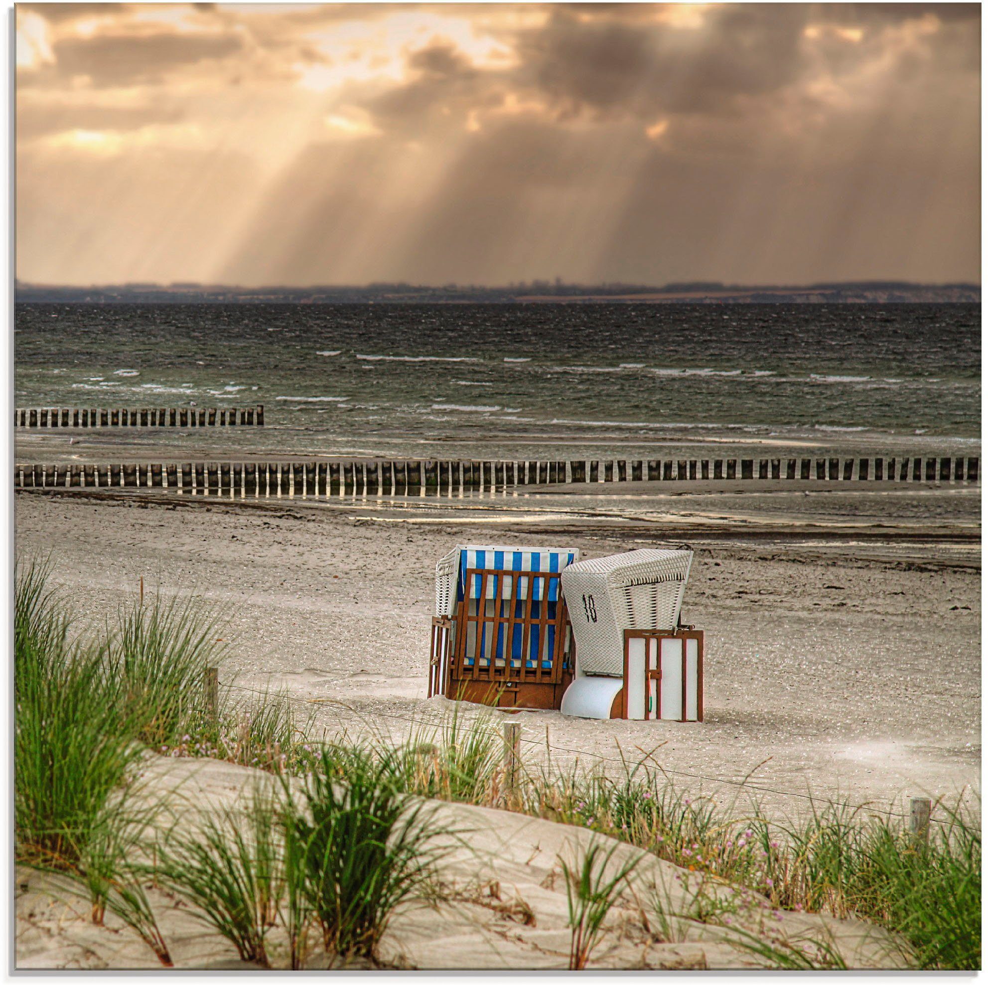 Artland Print op glas Zwarte struik strand op eiland Poel (1 stuk)