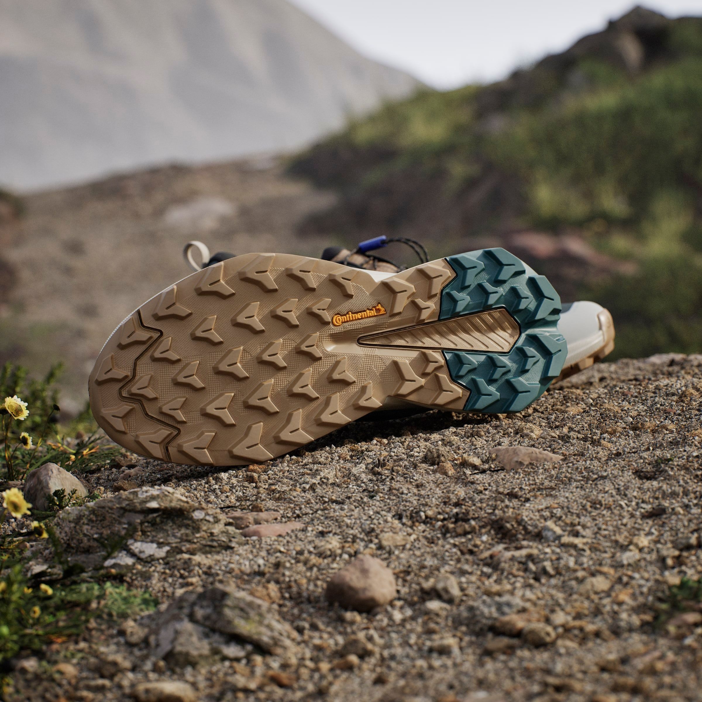 adidas TERREX Wandelschoenen TERREX TRAILMAKER 2 GORE-TEX SPEED LACE
