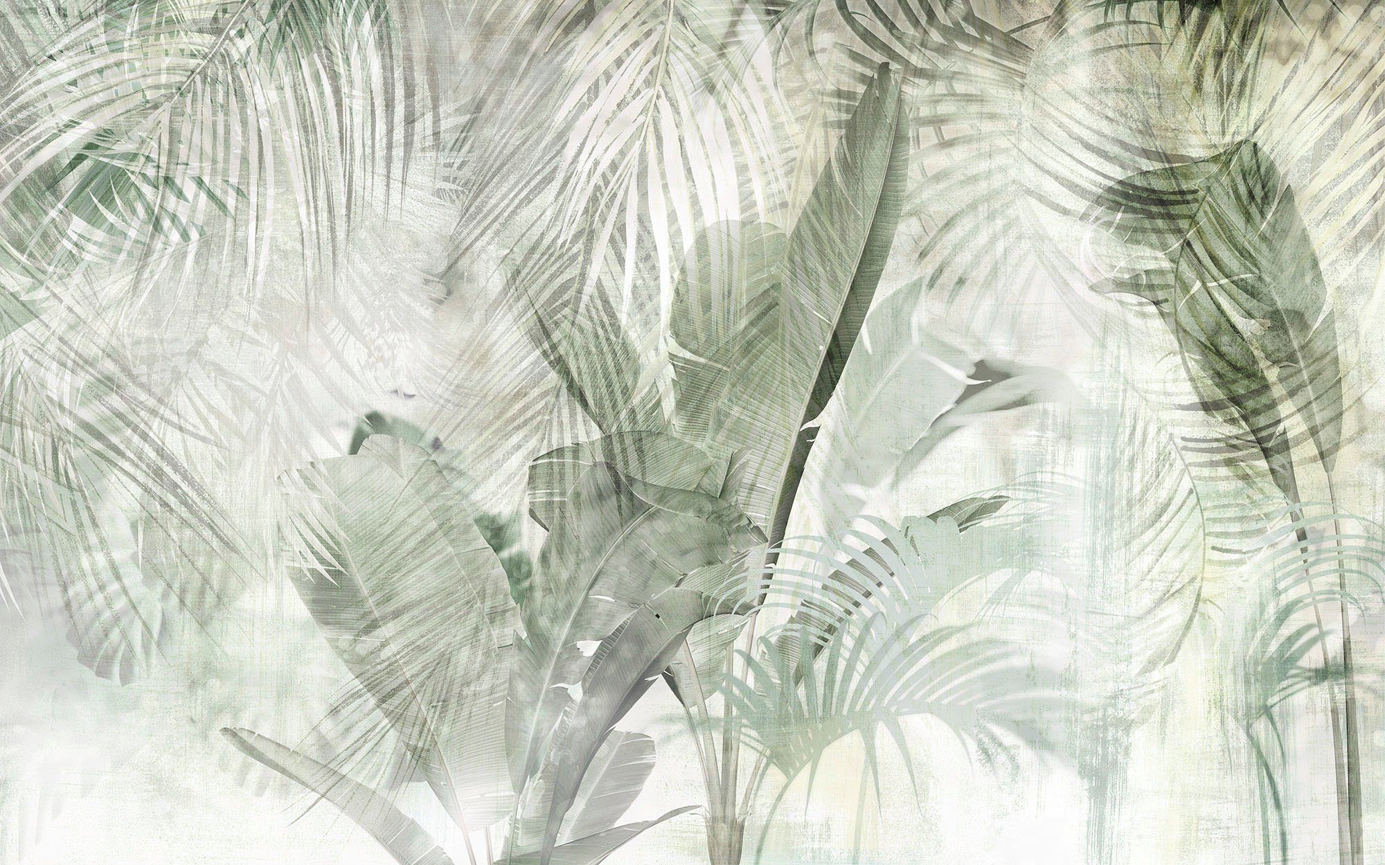 Komar Vliesbehang Digitale print vlies - Botanical Boho - Afmeting 400 x 250 cm (1 stuk) zelfklevend behang groen